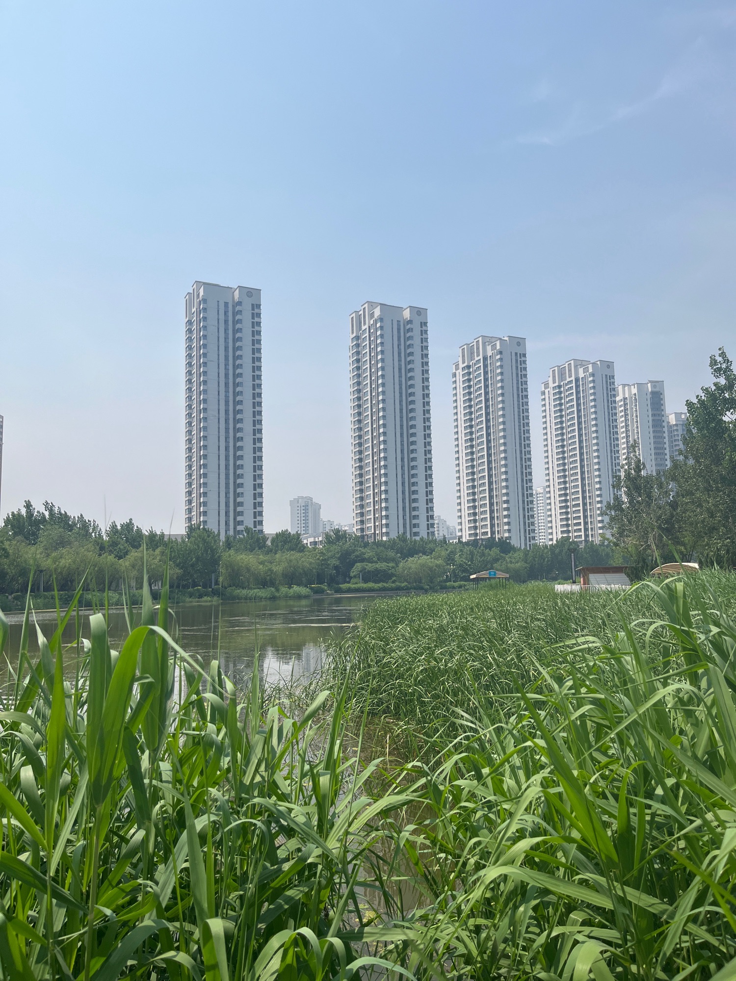 海河故道旅行图片 2