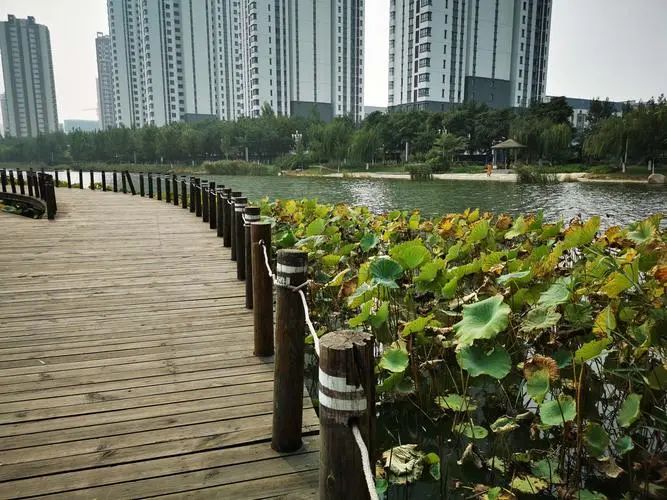 海河故道旅行图片 1