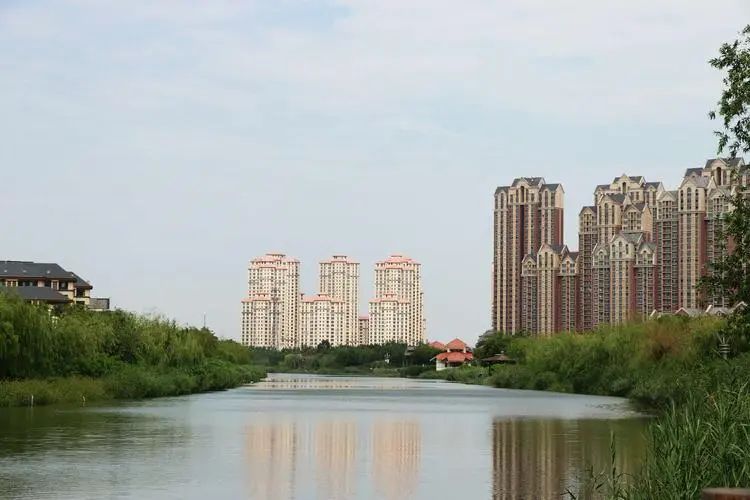 海河故道旅行图片 2