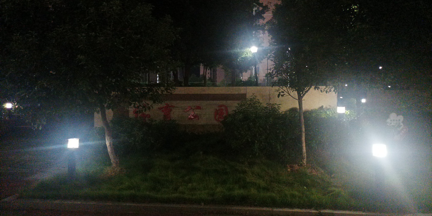 体育公园旅行图片 3