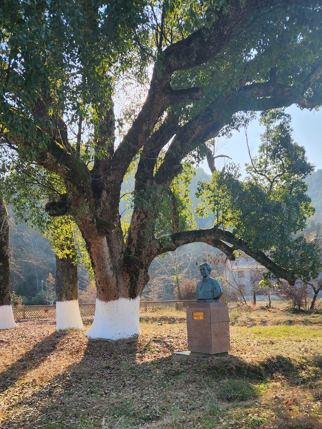 三湾改编纪念广场旅行图片 2