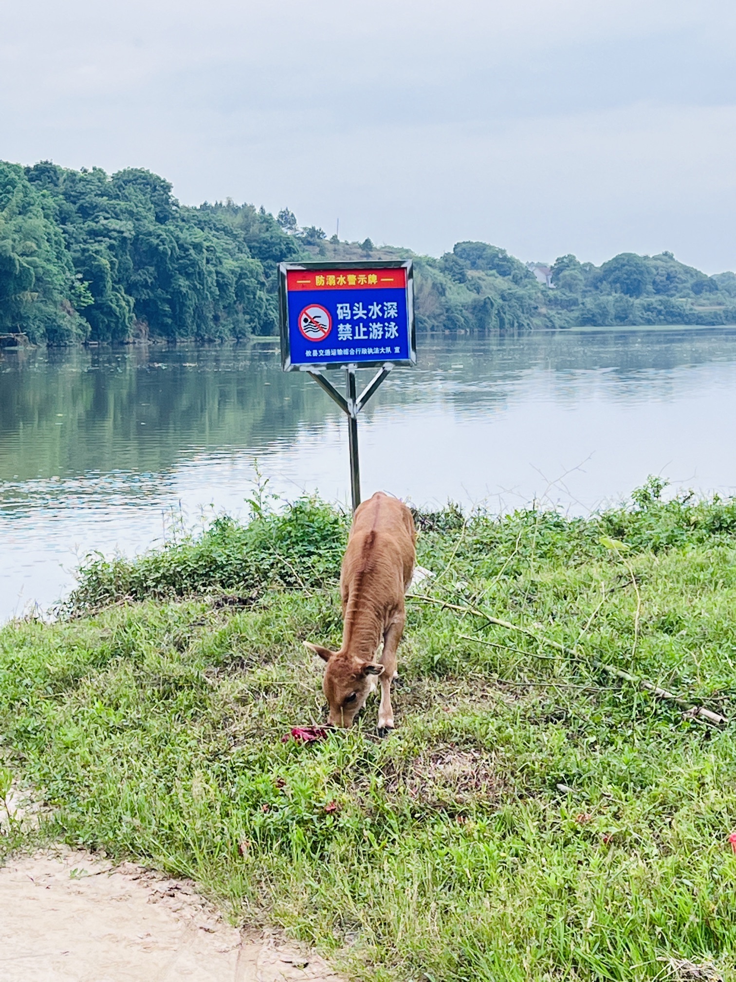 阴山港凌云塔旅行图片
