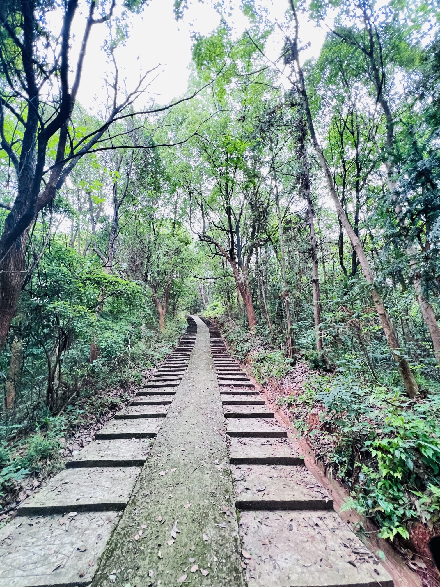 阴山港凌云塔旅行图片 3