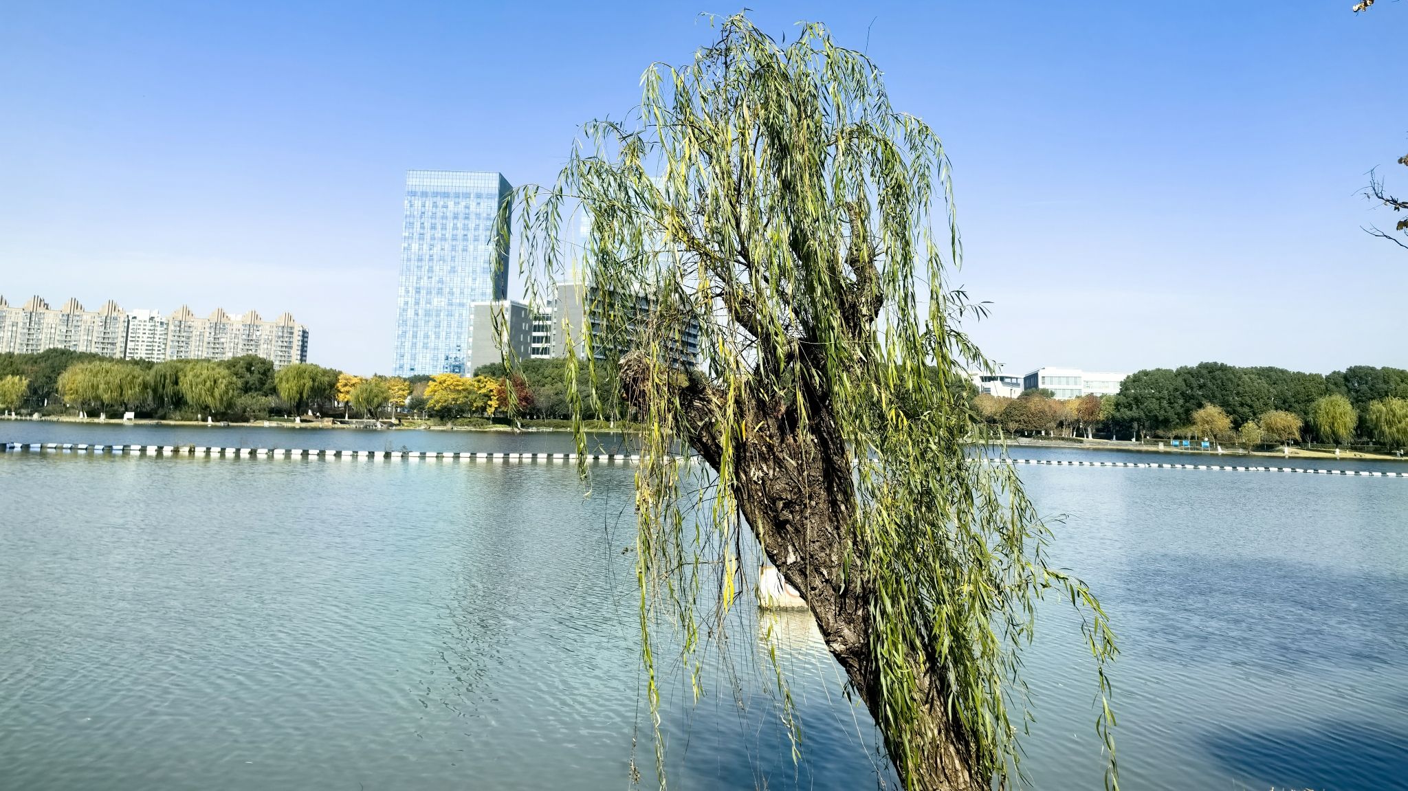 夏阳湖旅行图片 2