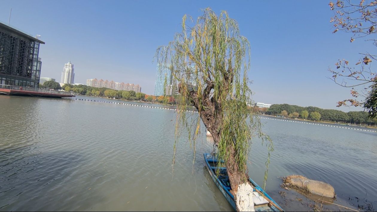 夏阳湖旅行图片 3