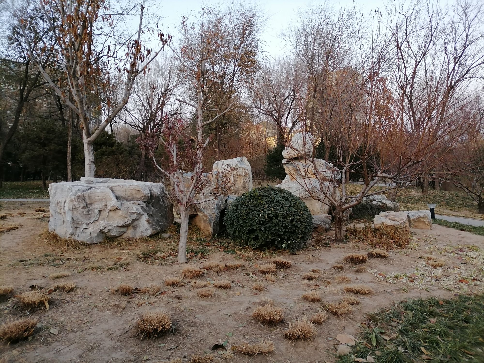 百子湾公园旅行图片 3