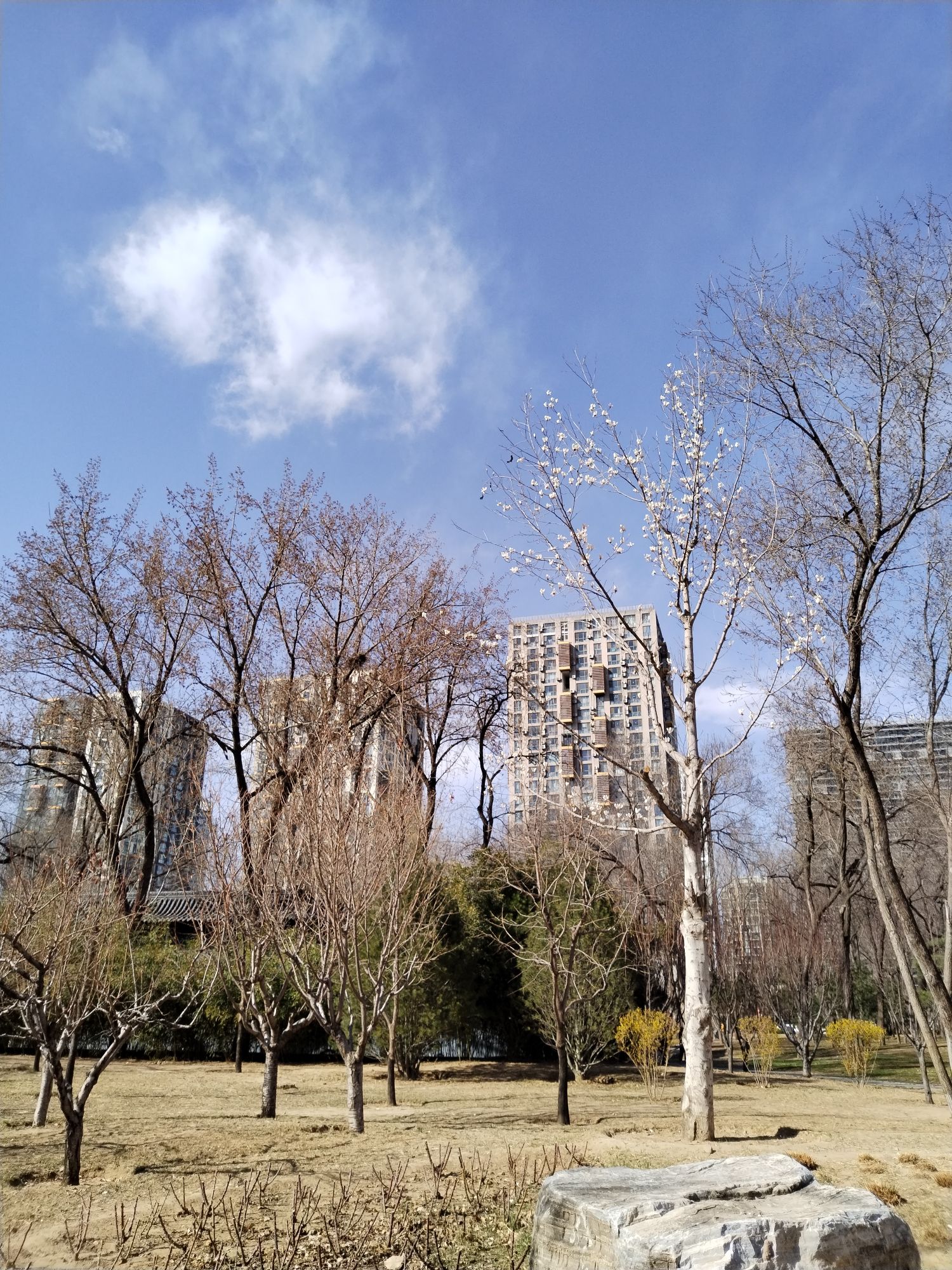 百子湾公园旅行图片 1
