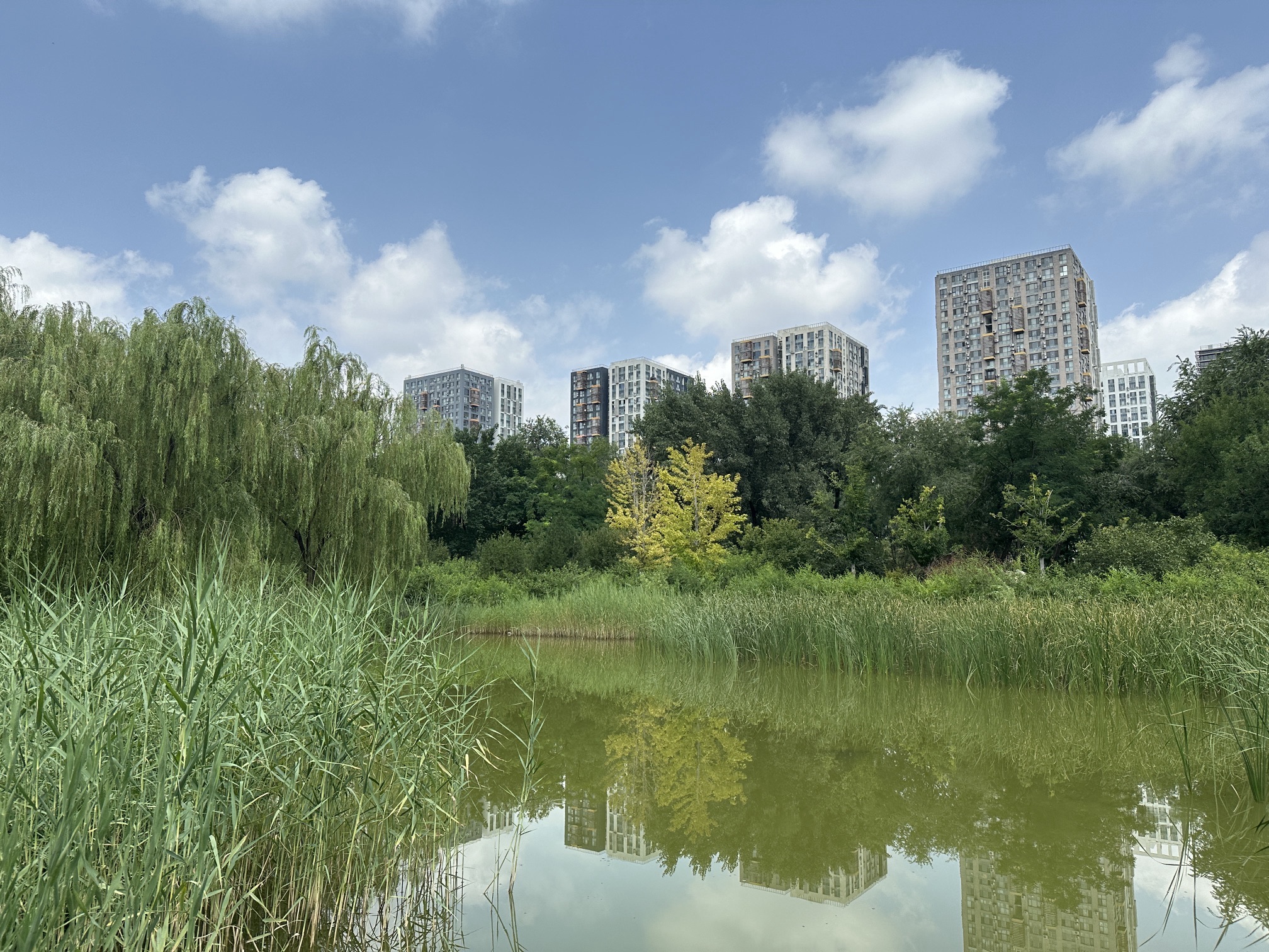 百子湾公园旅行图片 2