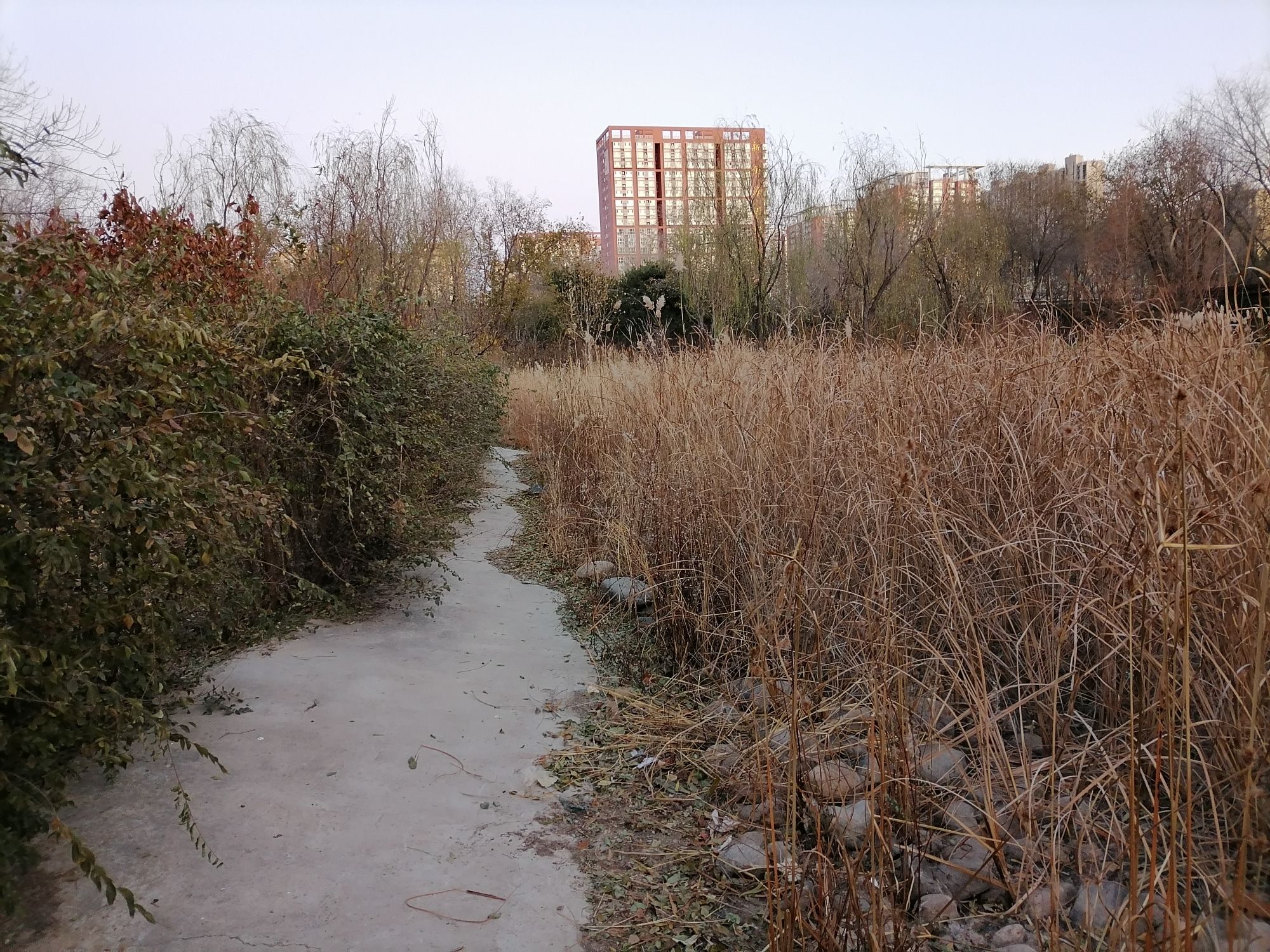 百子湾公园旅行图片 1