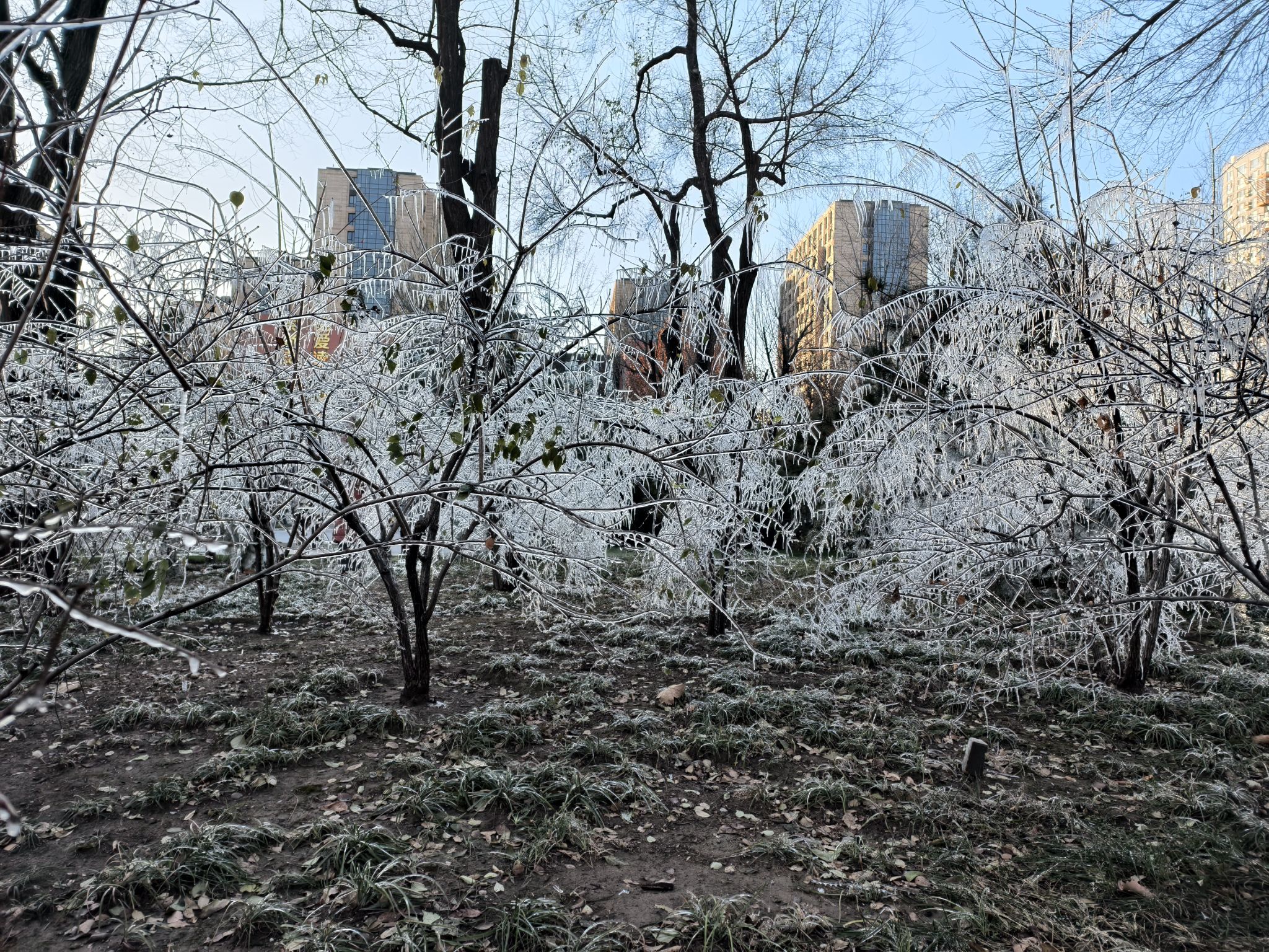 百子湾公园旅行图片 2