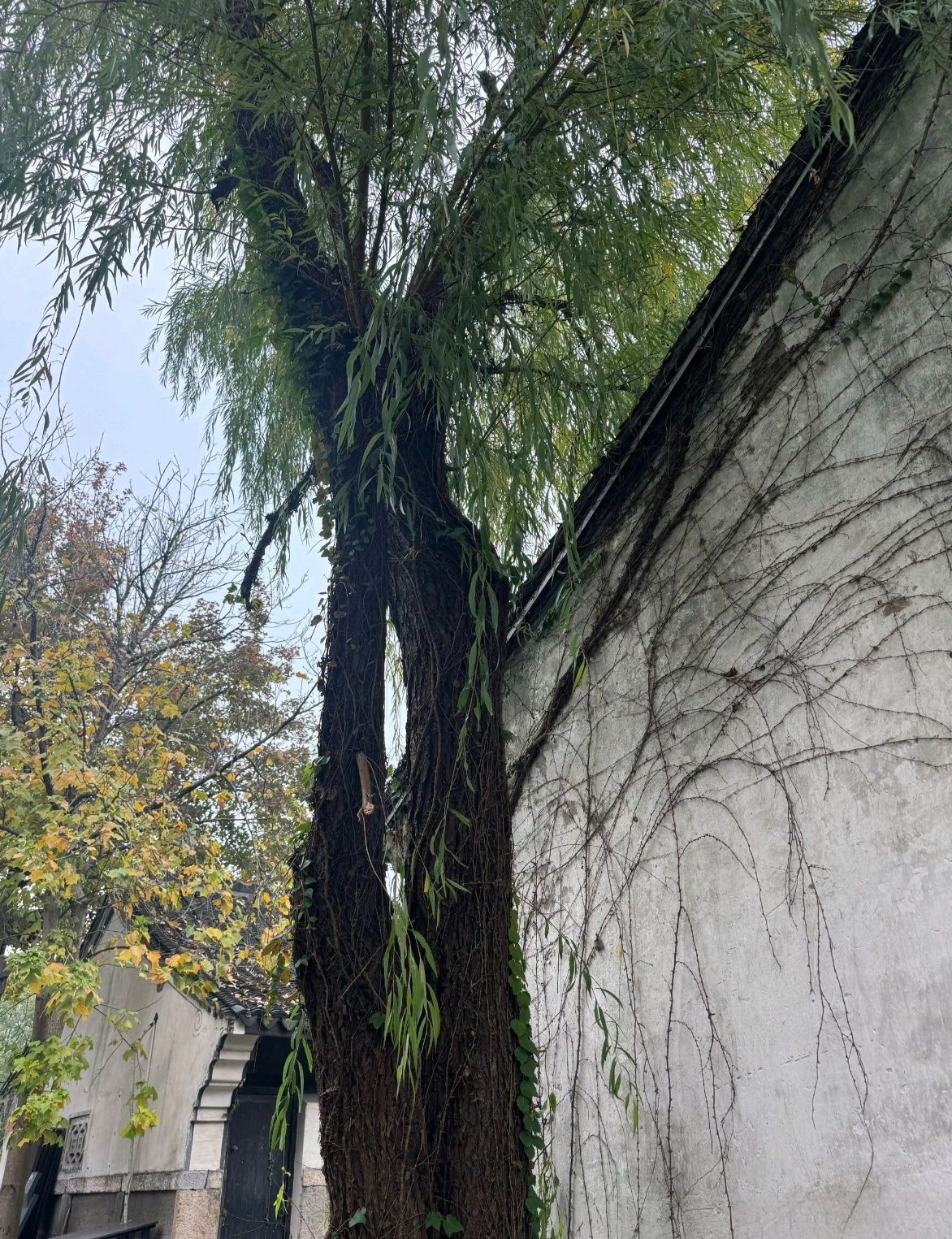 鉴湖旅游度假区旅行图片 2