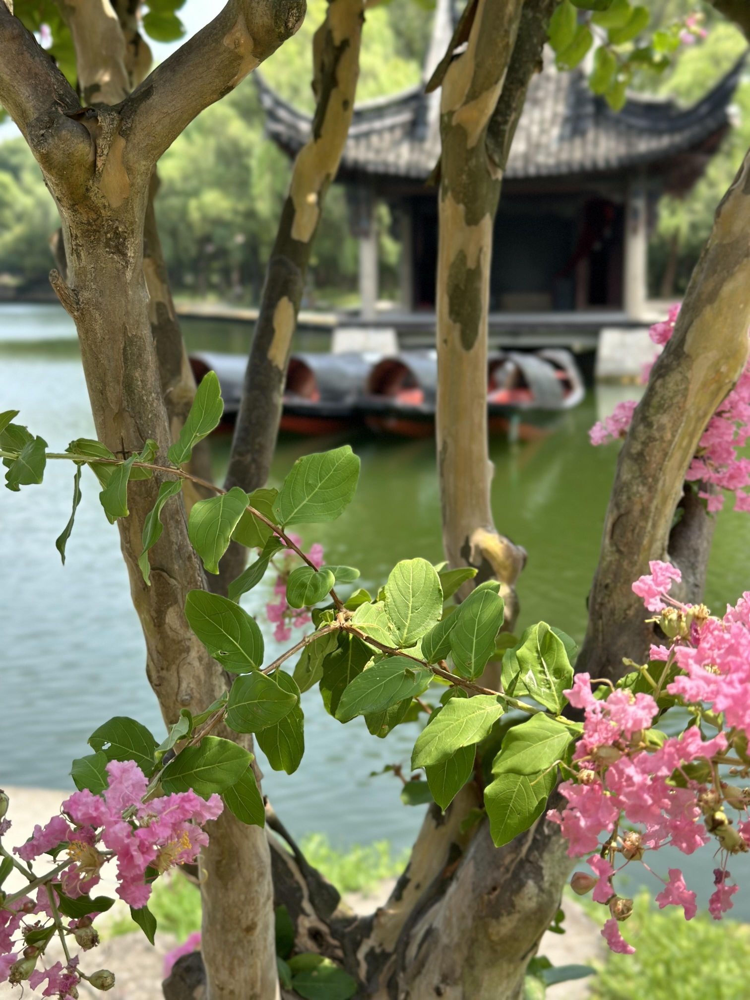 鉴湖旅游度假区旅行图片 1