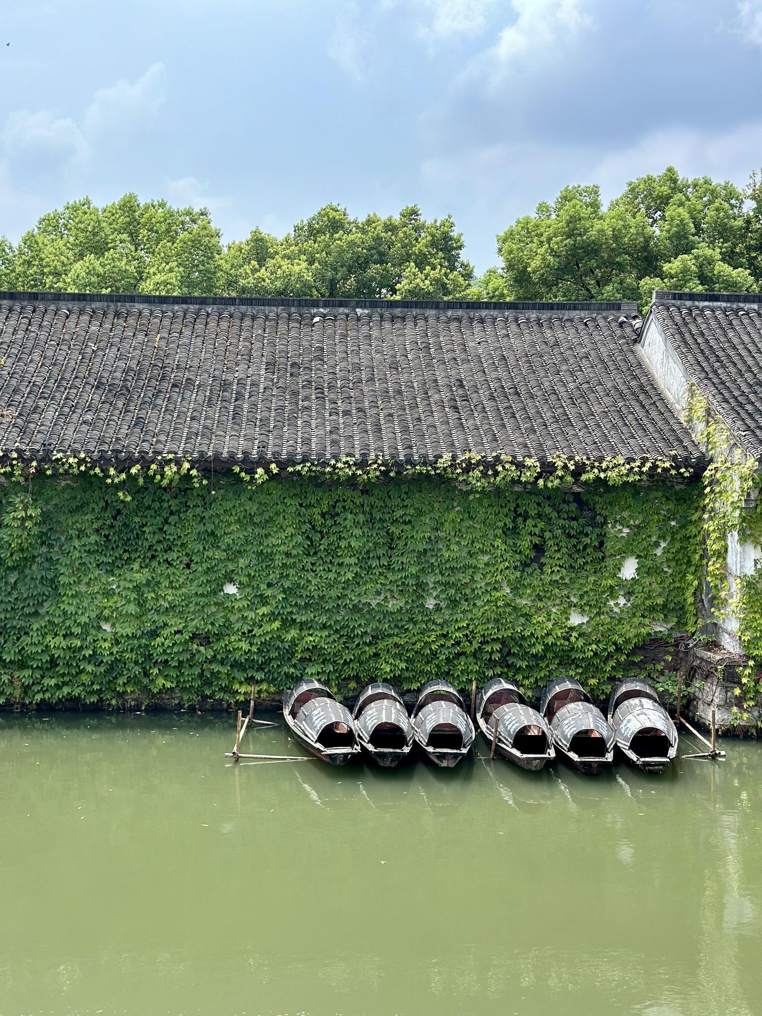 鉴湖旅游度假区旅行图片 3