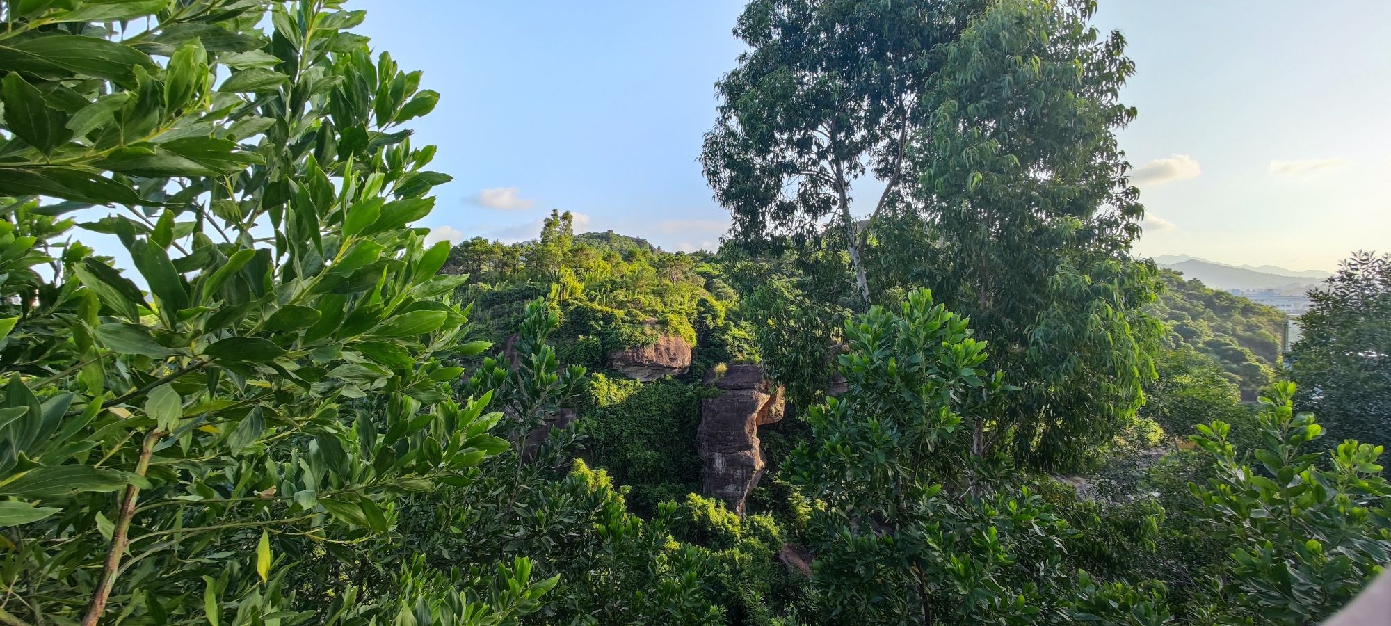 金龟山公园旅行图片 3