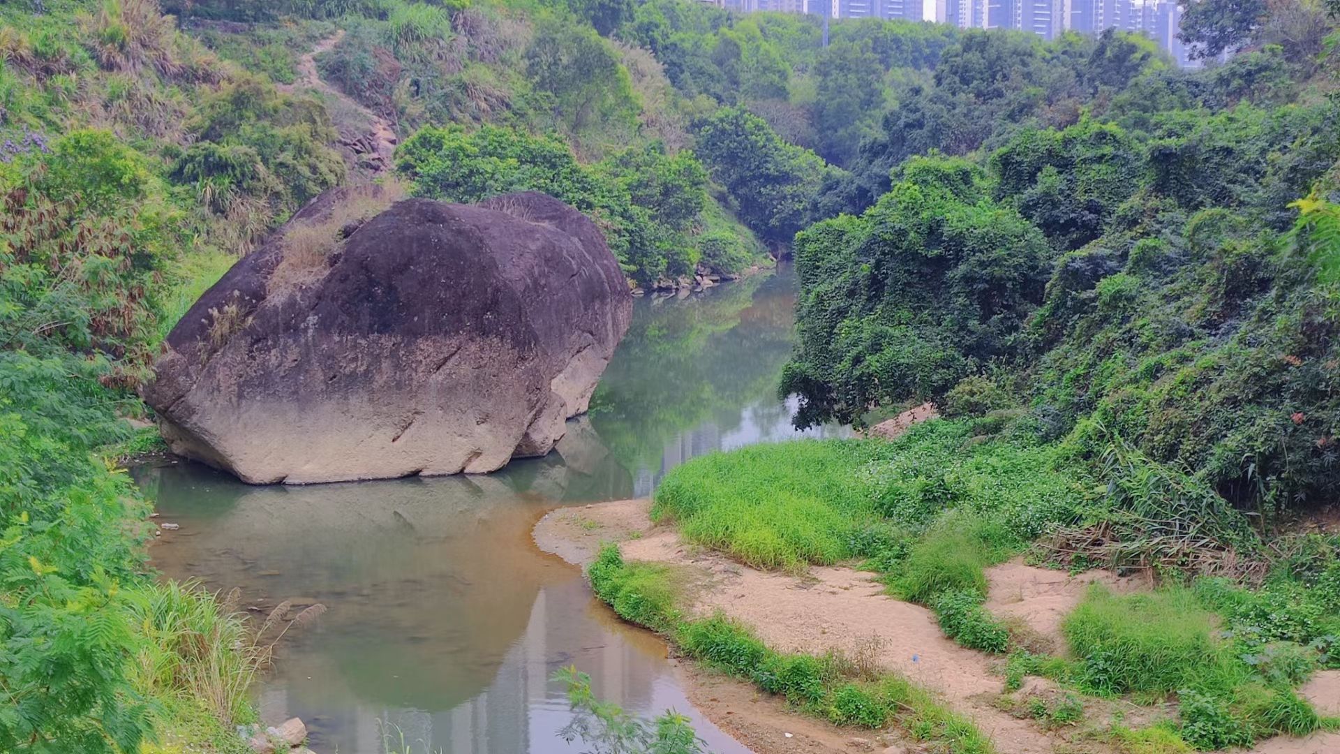 金龟山公园旅行图片 1