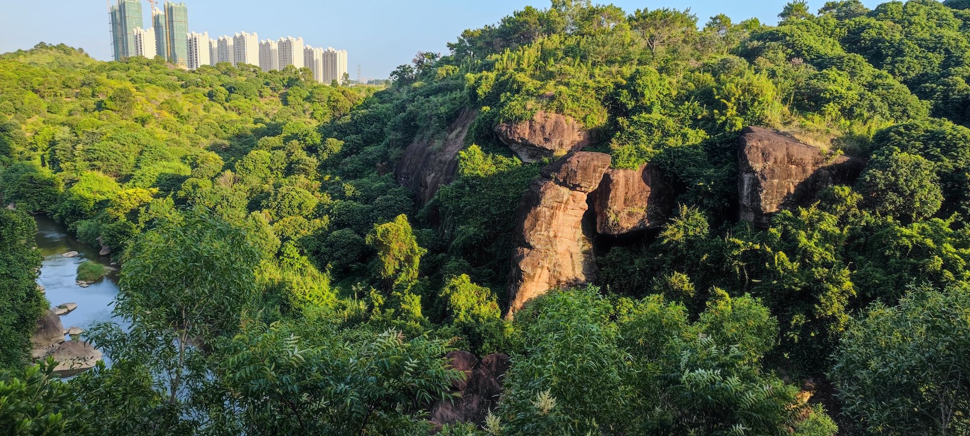 金龟山公园旅行图片 2