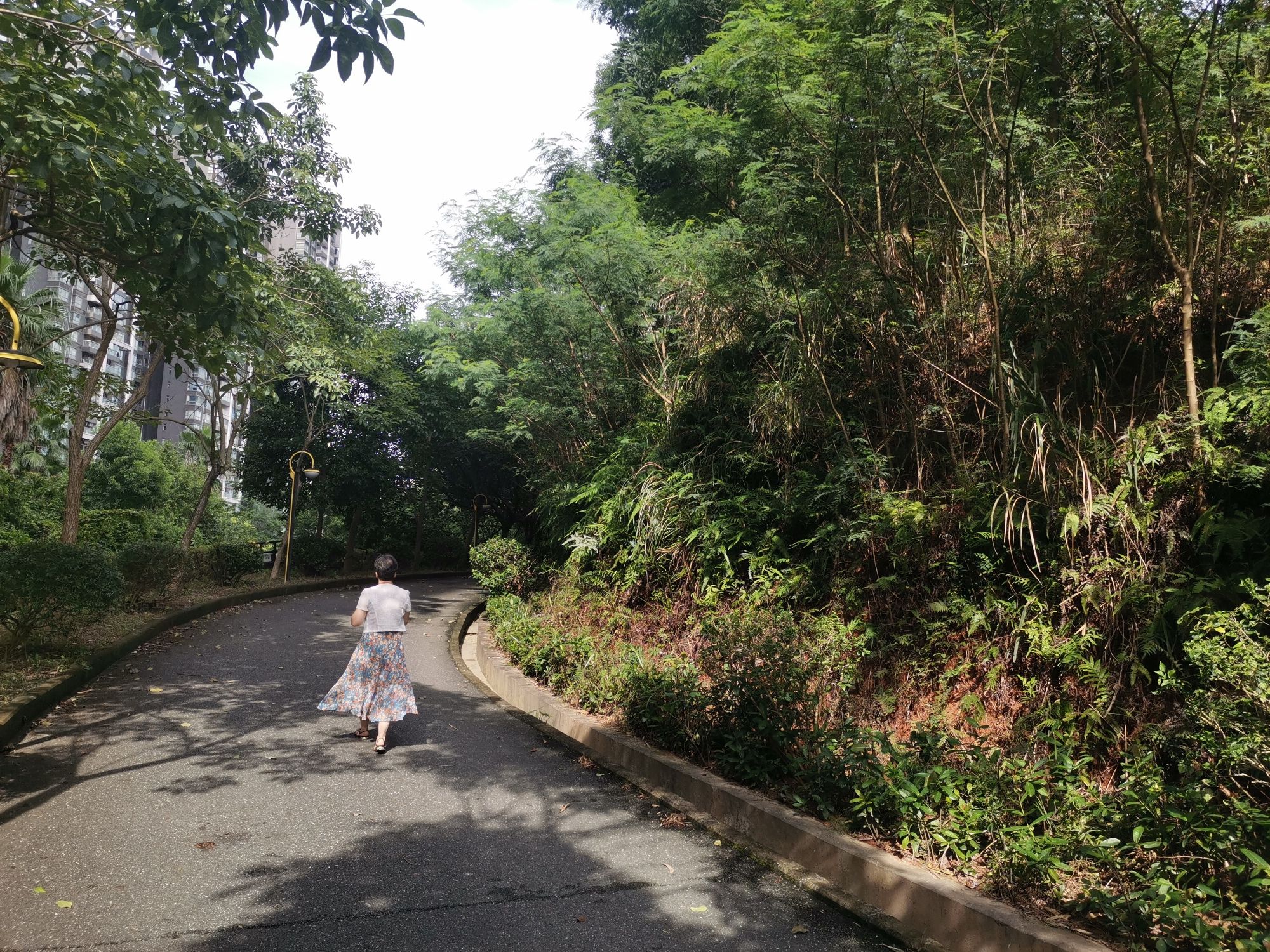 金龟山公园旅行图片 3