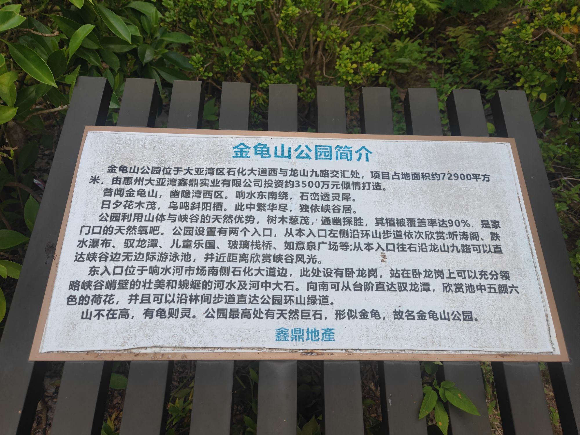 金龟山公园旅行图片 2