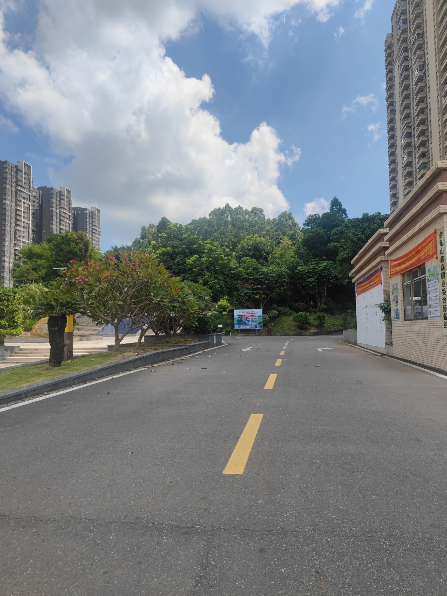 金龟山公园旅行图片 1