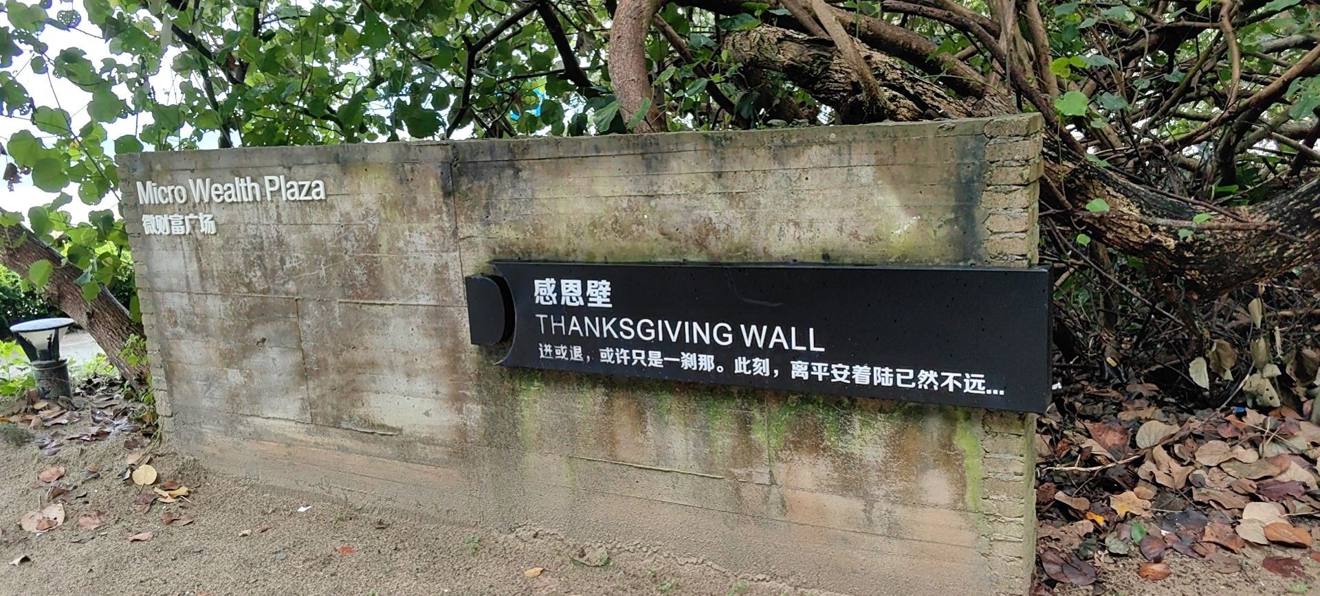 荷包岛旅行图片 2