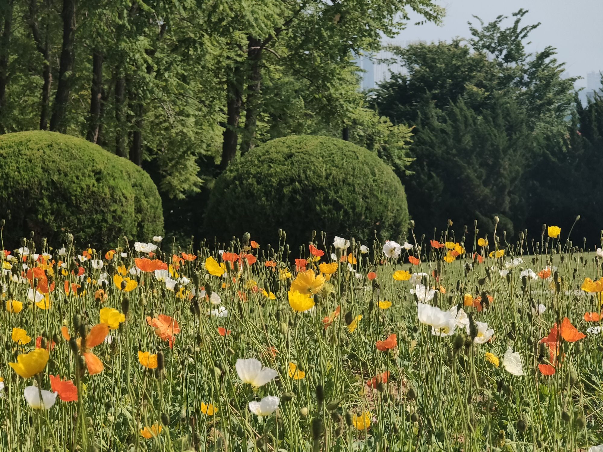 董家沟植物公园旅行图片 2