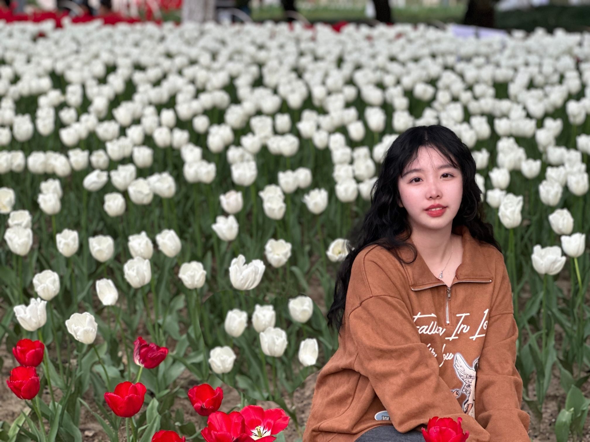 院士公园旅行图片 2