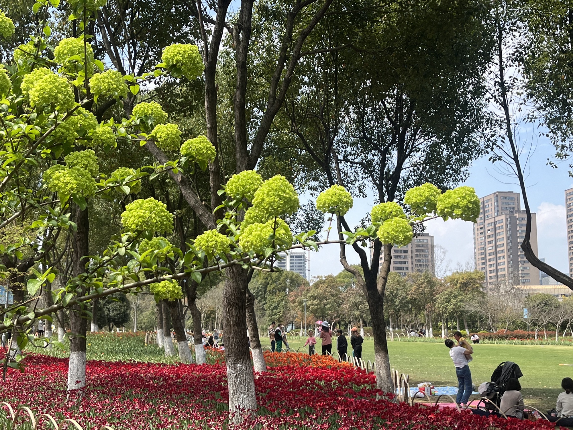 院士公园旅行图片 1