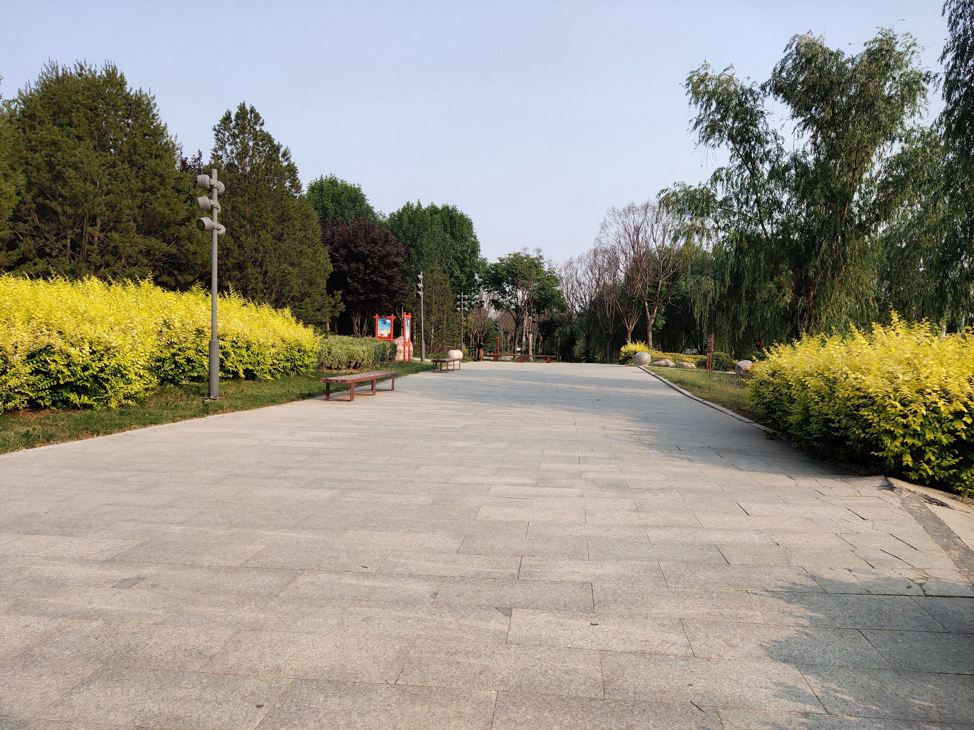 礼湖公园旅行图片 3