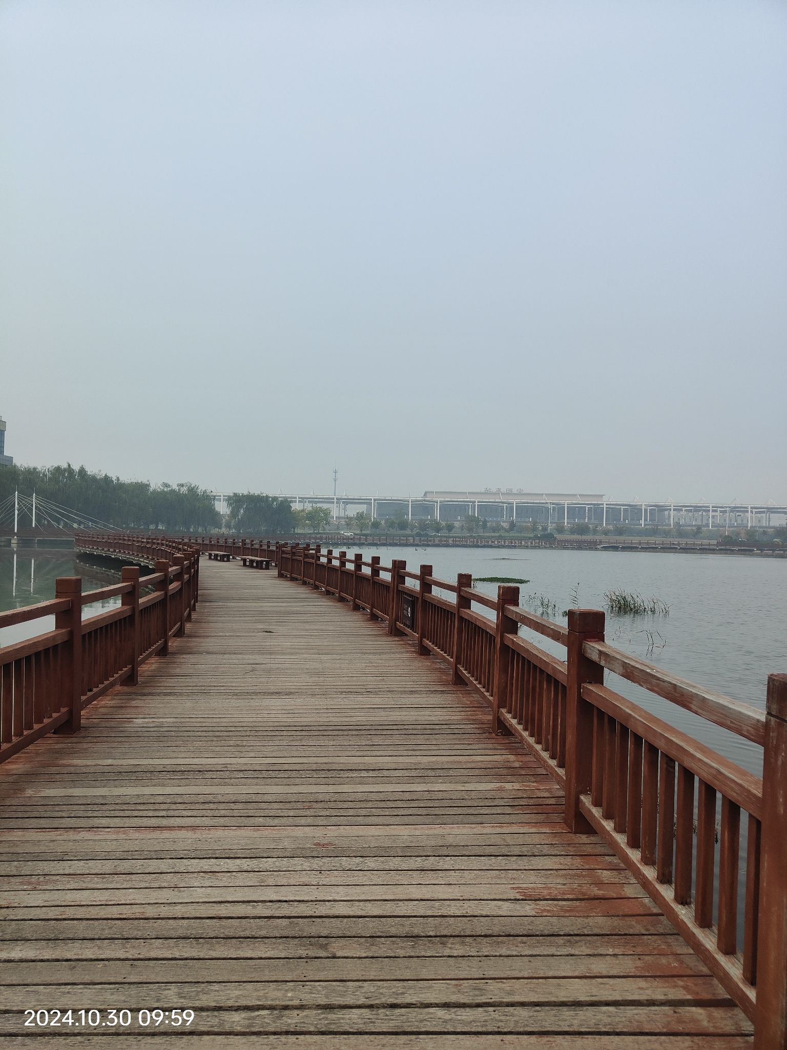 礼湖公园旅行图片 2