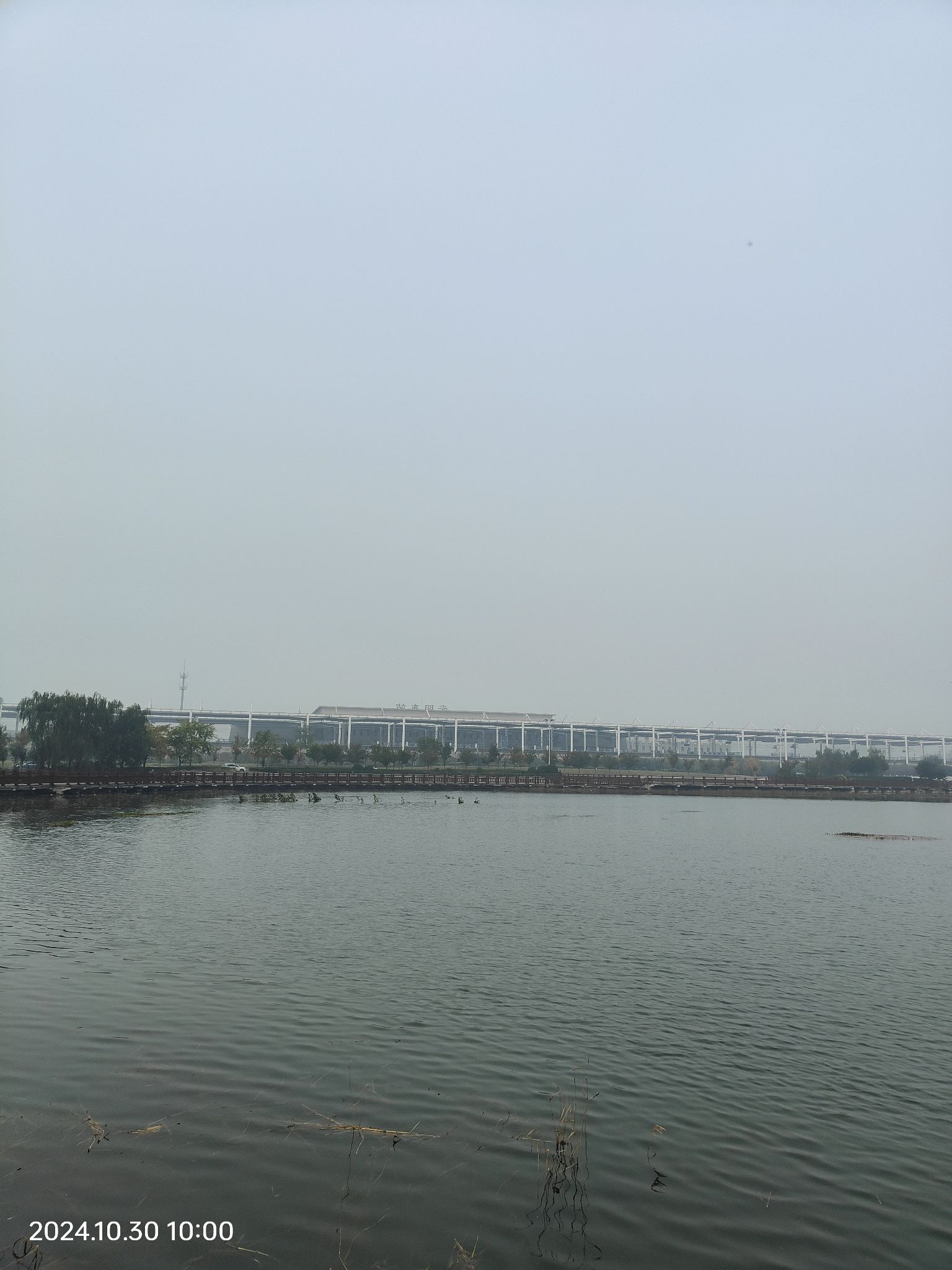 礼湖公园旅行图片 3