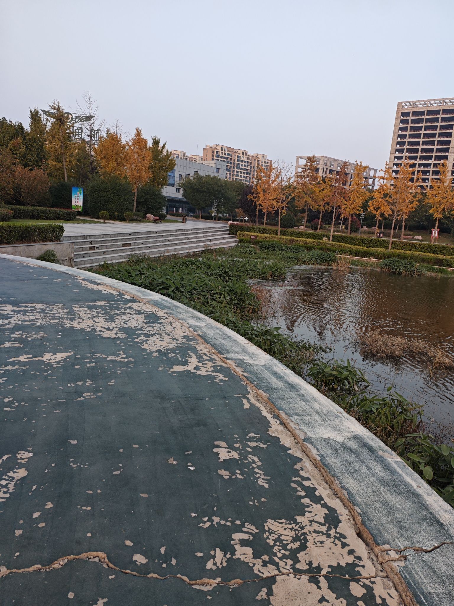 礼湖公园旅行图片 3