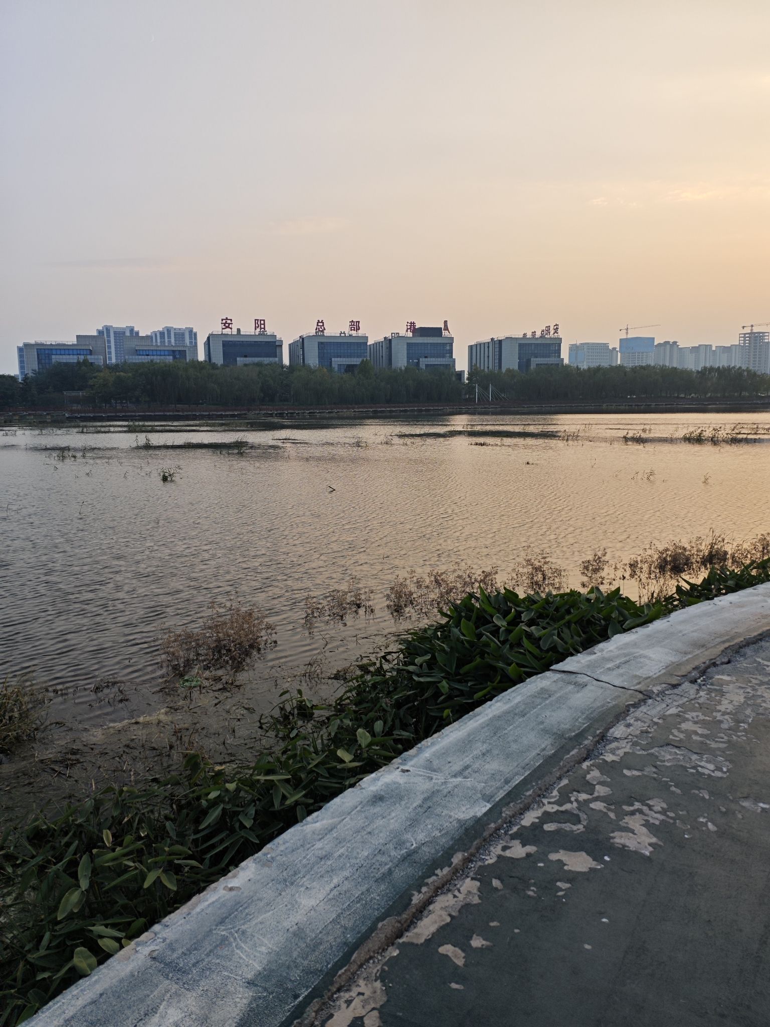 礼湖公园旅行图片 1
