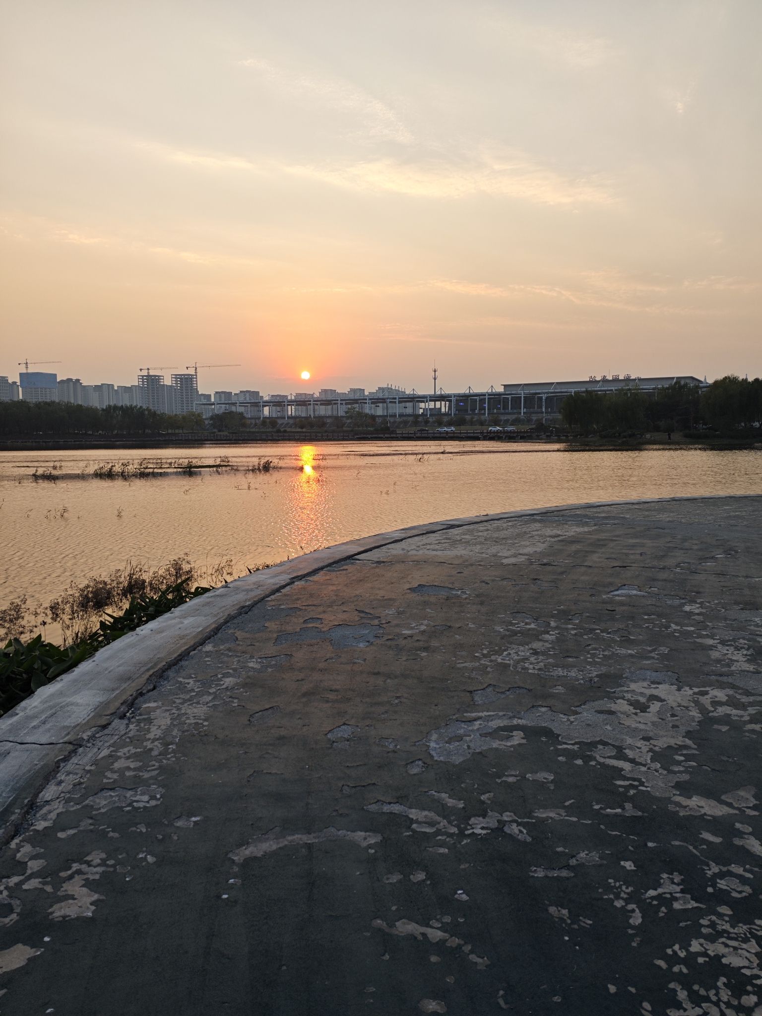 礼湖公园旅行图片 2