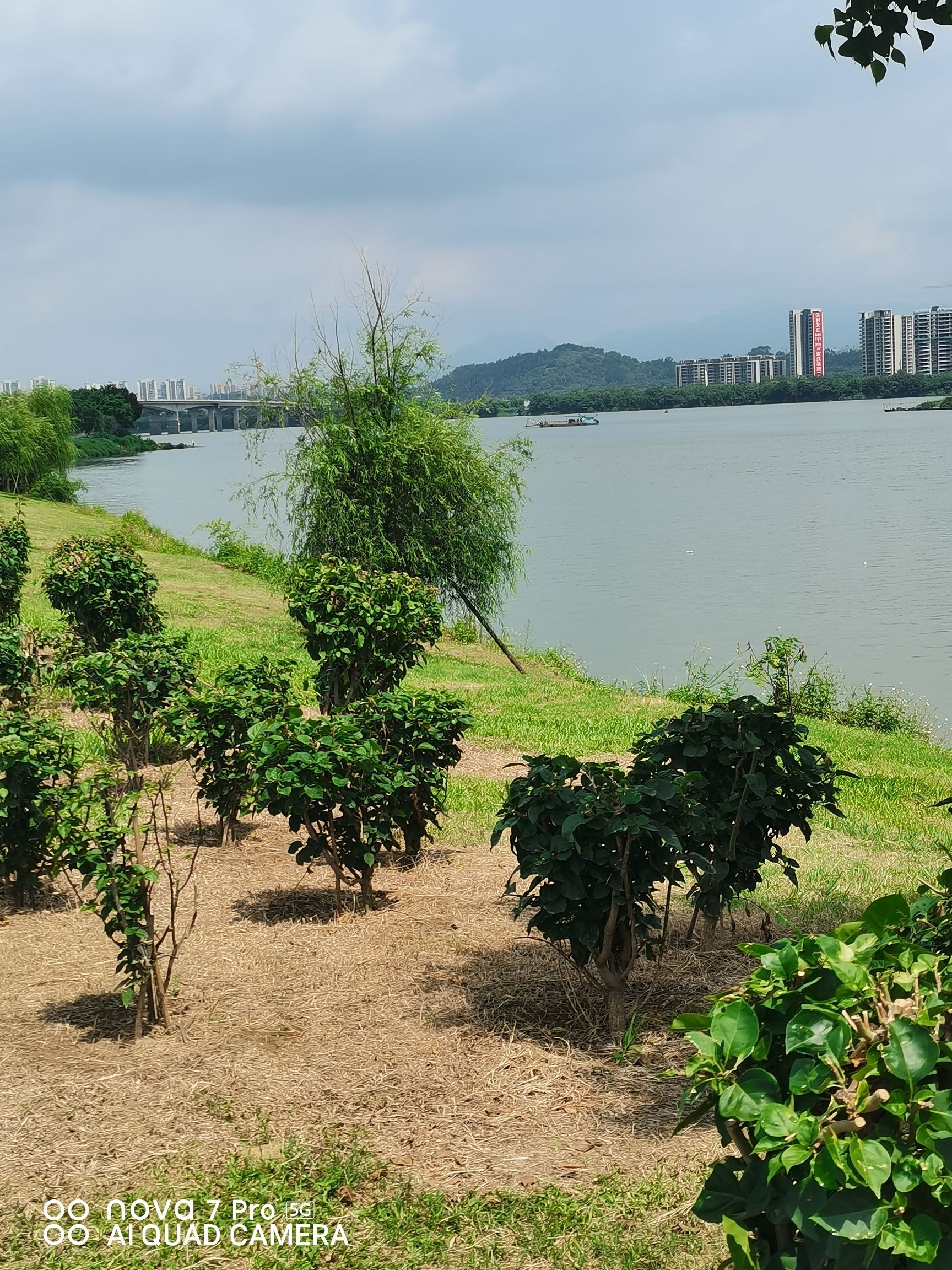 伦洲村沙滩旅行图片 3