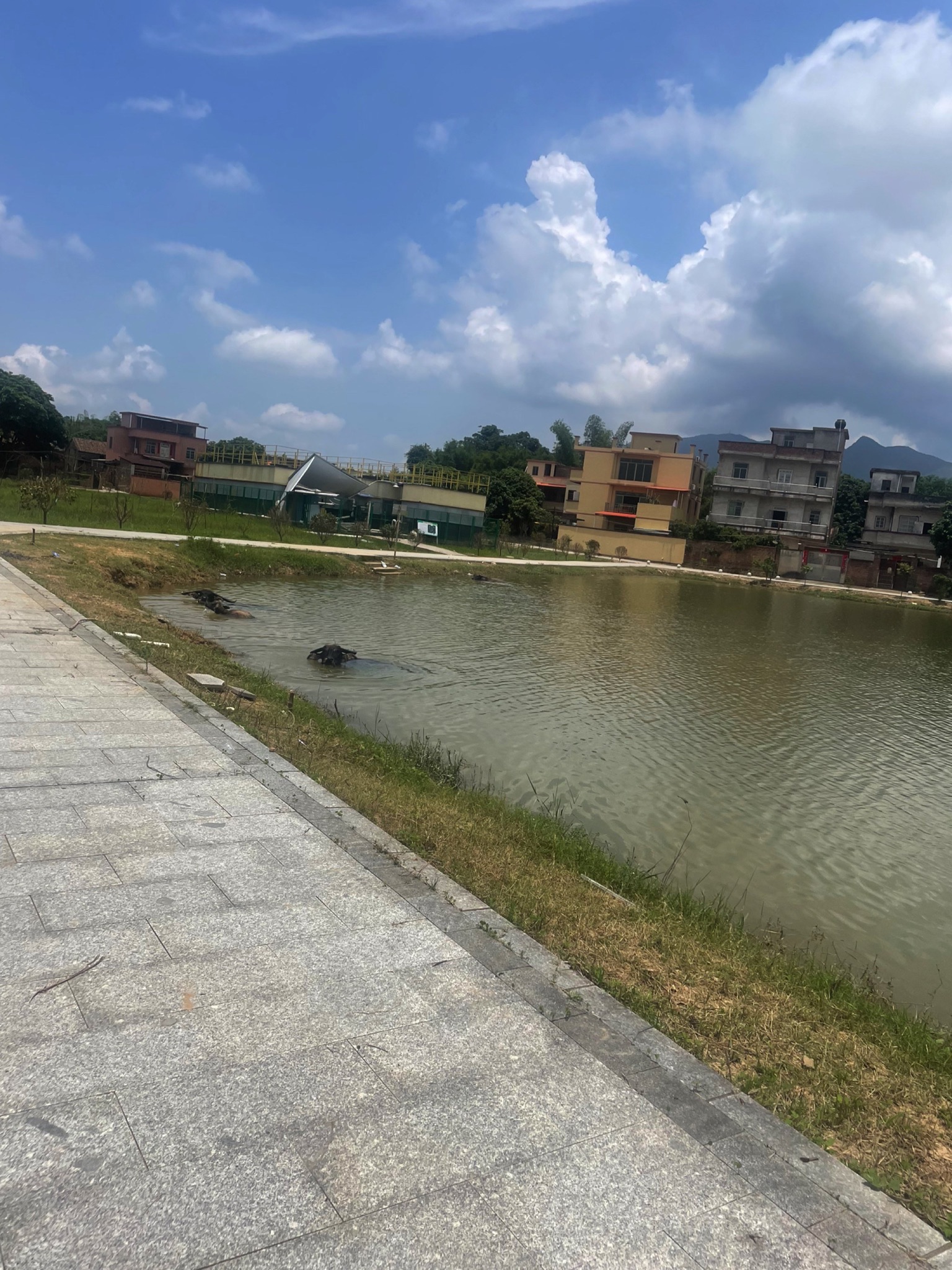 伦洲村沙滩旅行图片 2