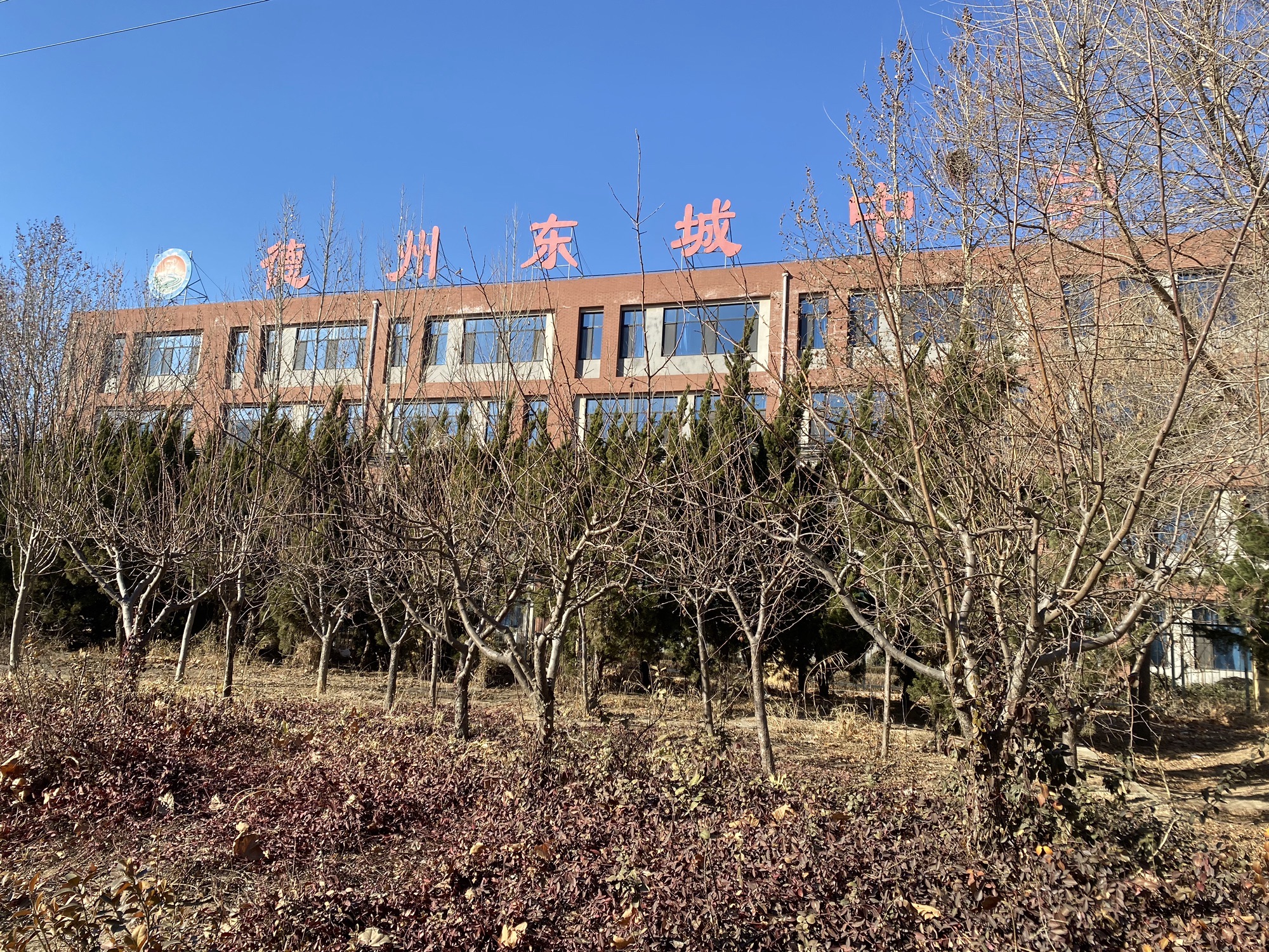 德州东城中学