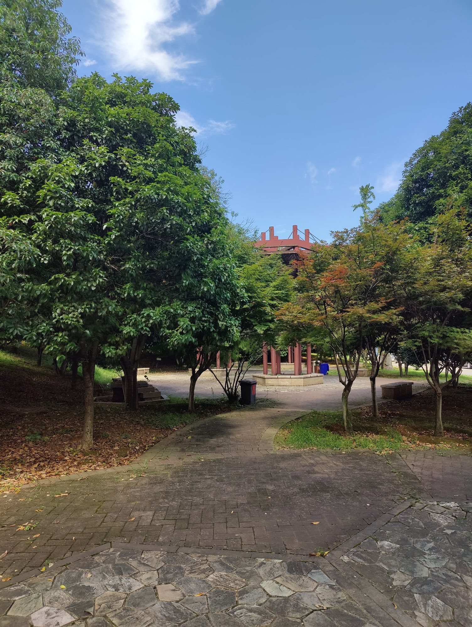 蜂巢亭旅行图片 3