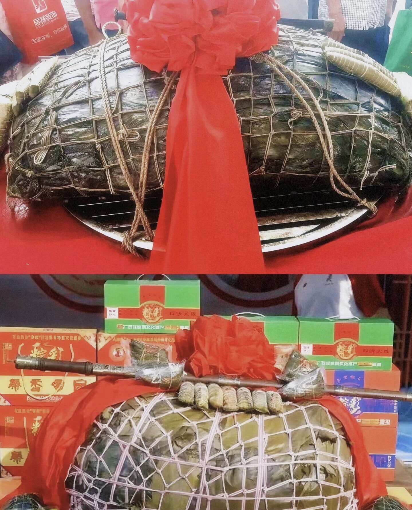 蚝情广场旅行图片 2