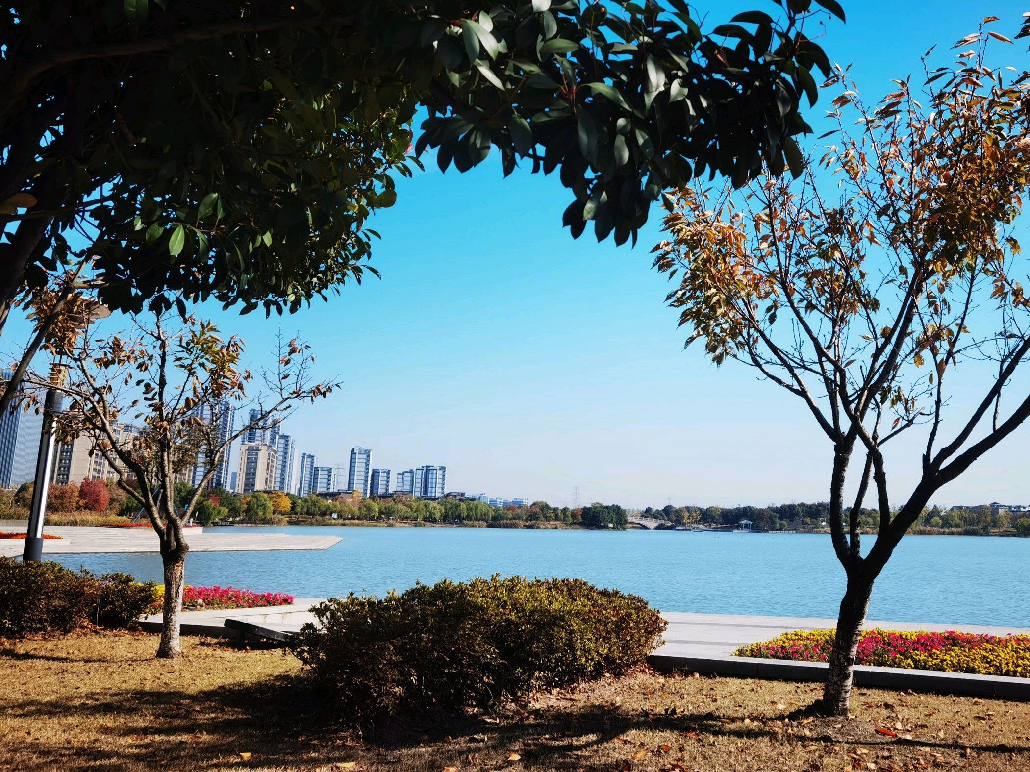 许村镇龙渡湖公园旅行图片 1