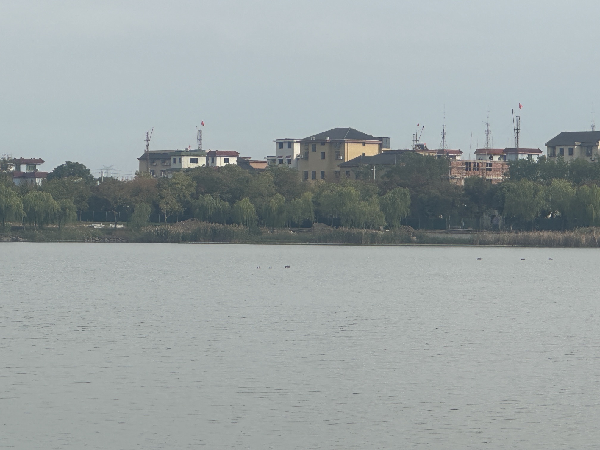 许村镇龙渡湖公园旅行图片 2
