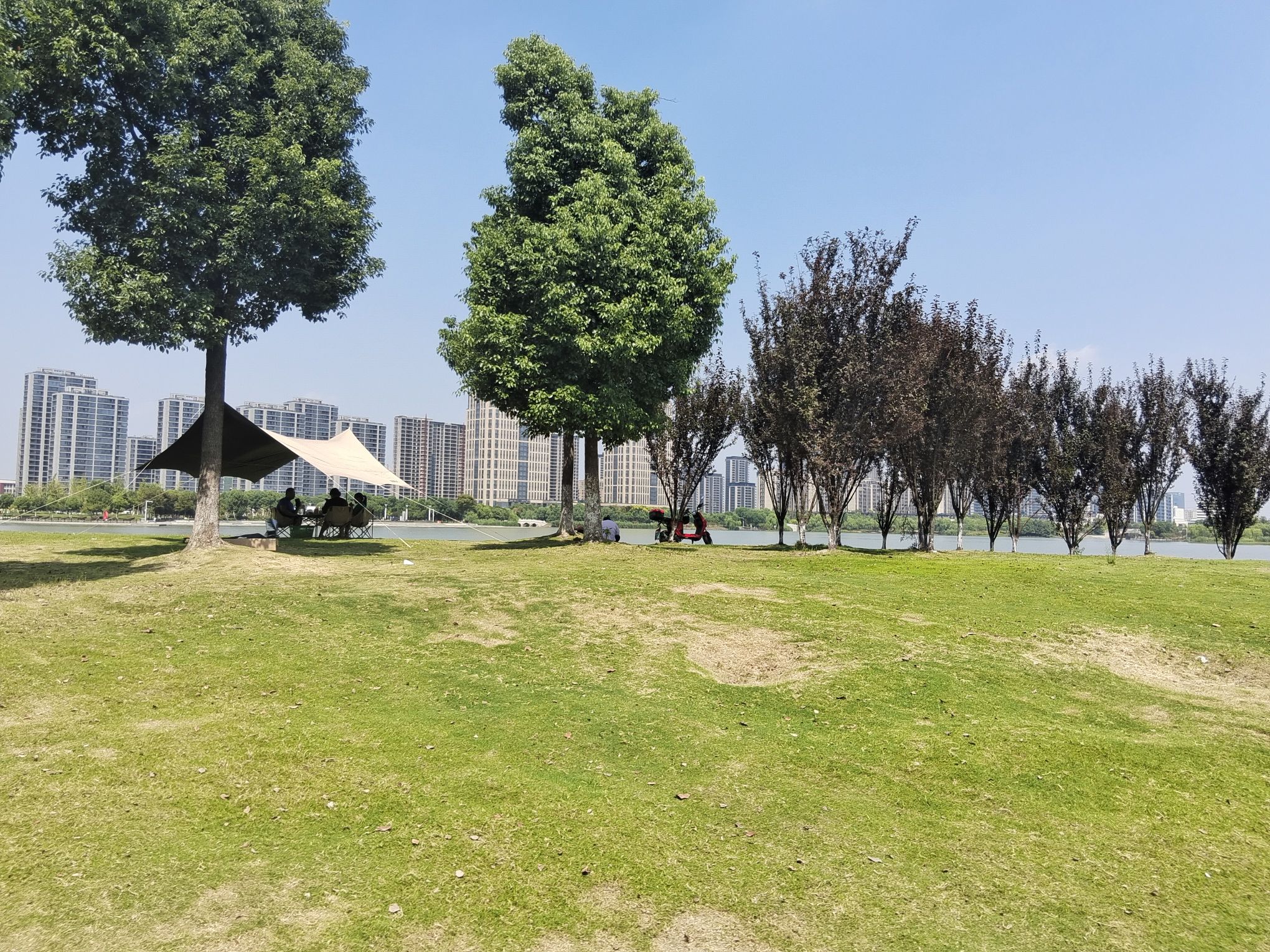 许村镇龙渡湖公园旅行图片 3