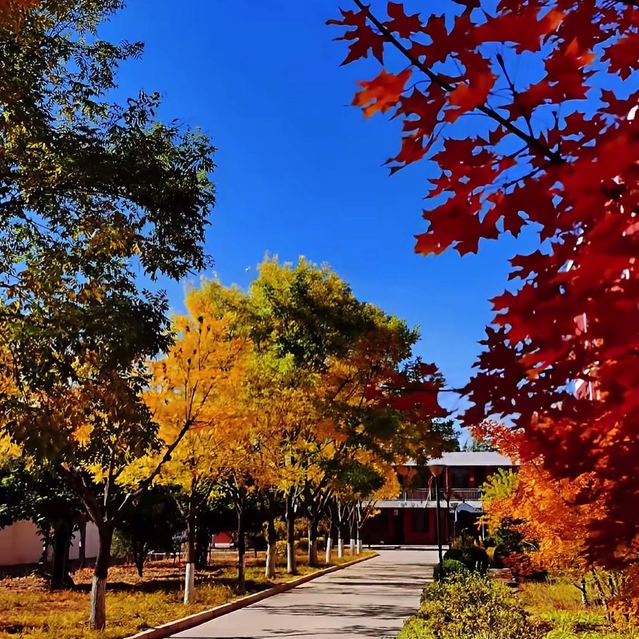 榆林职业技术学院林学院