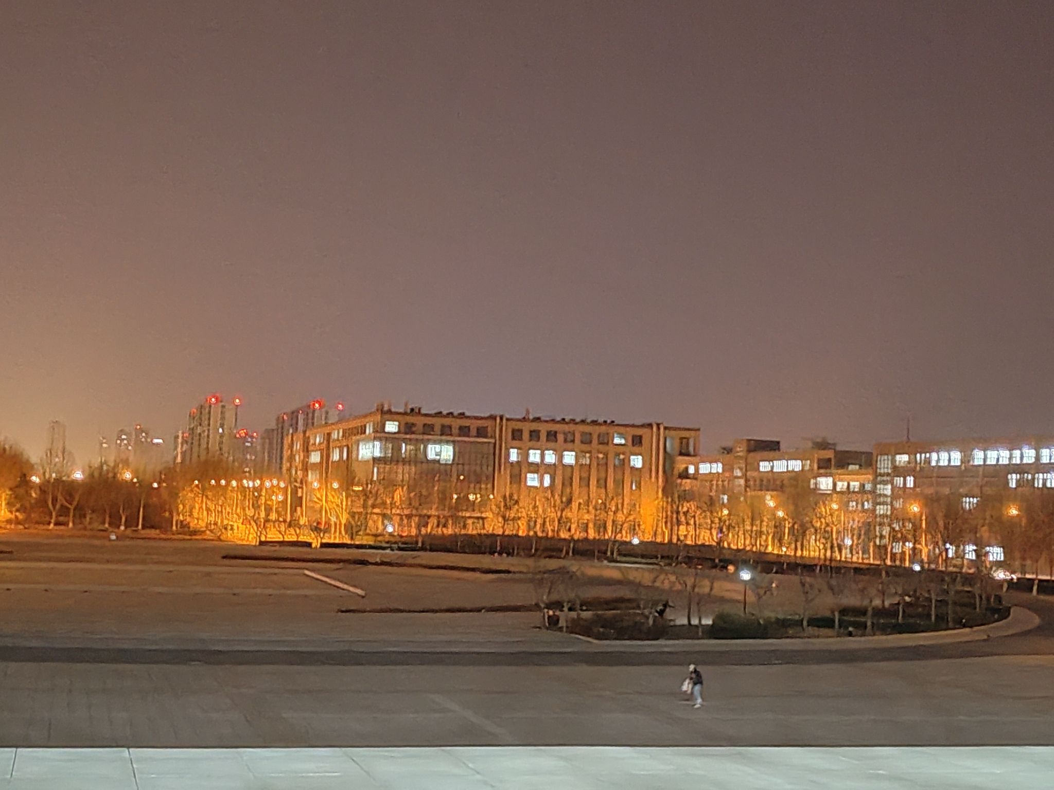 孔雀园旅行图片 3