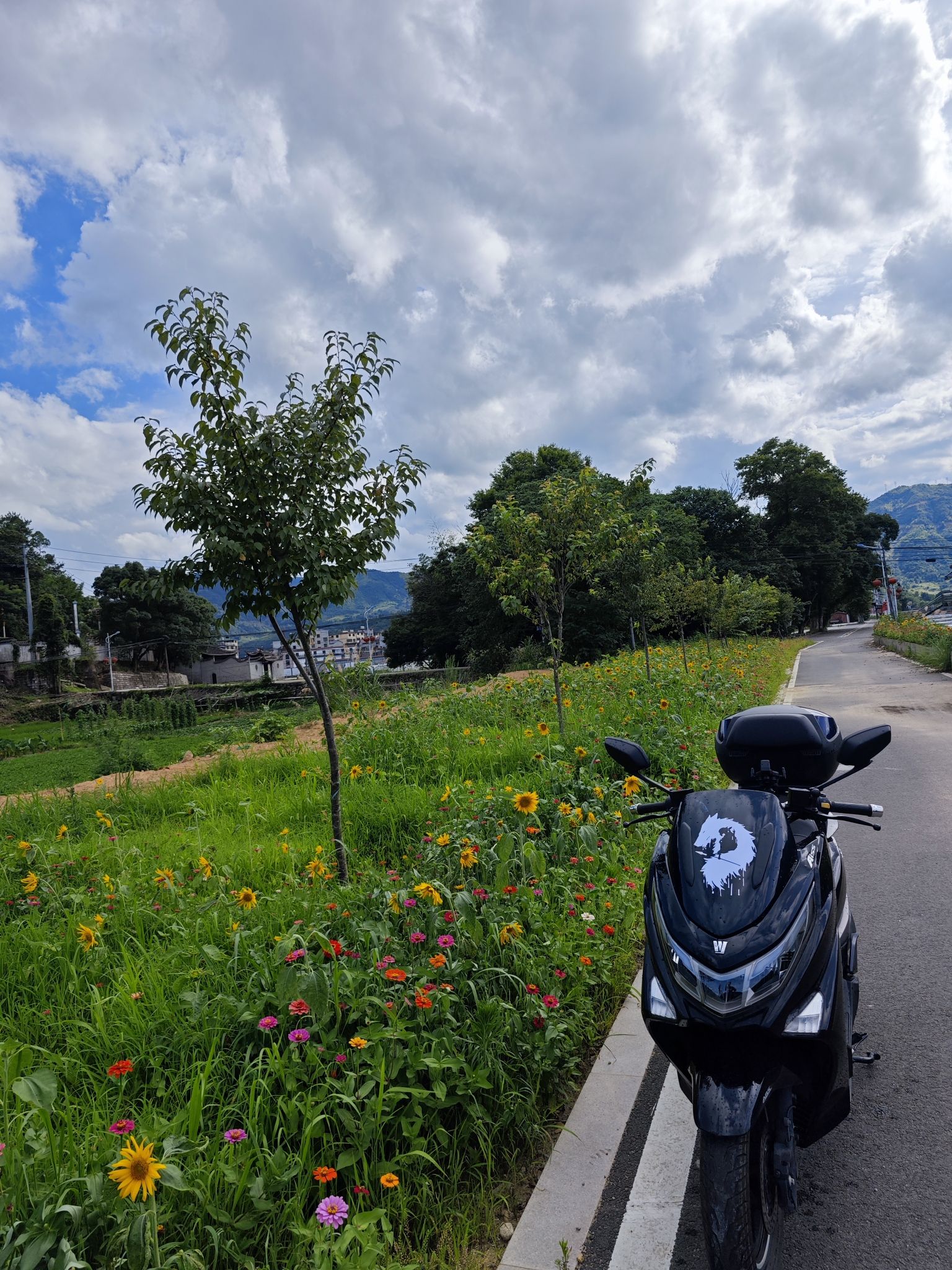 洋中古镇景区旅行图片 2