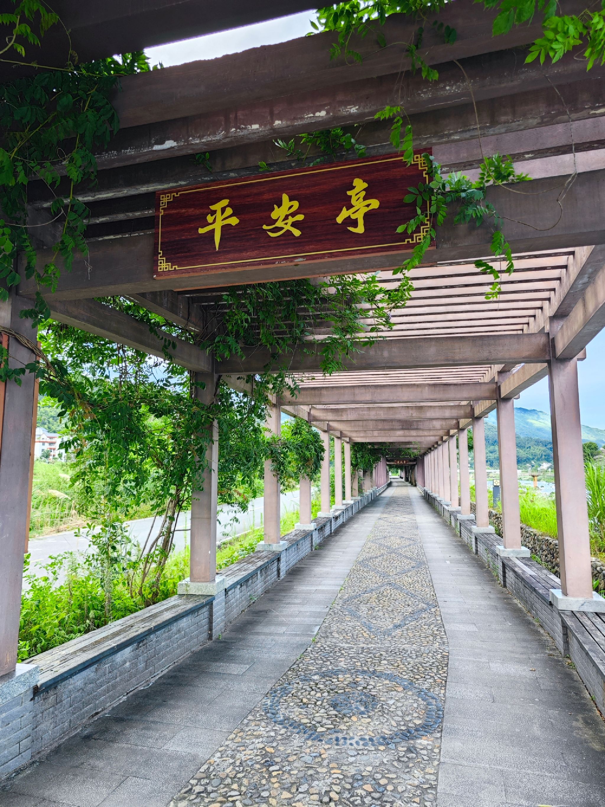 洋中古镇景区旅行图片 3