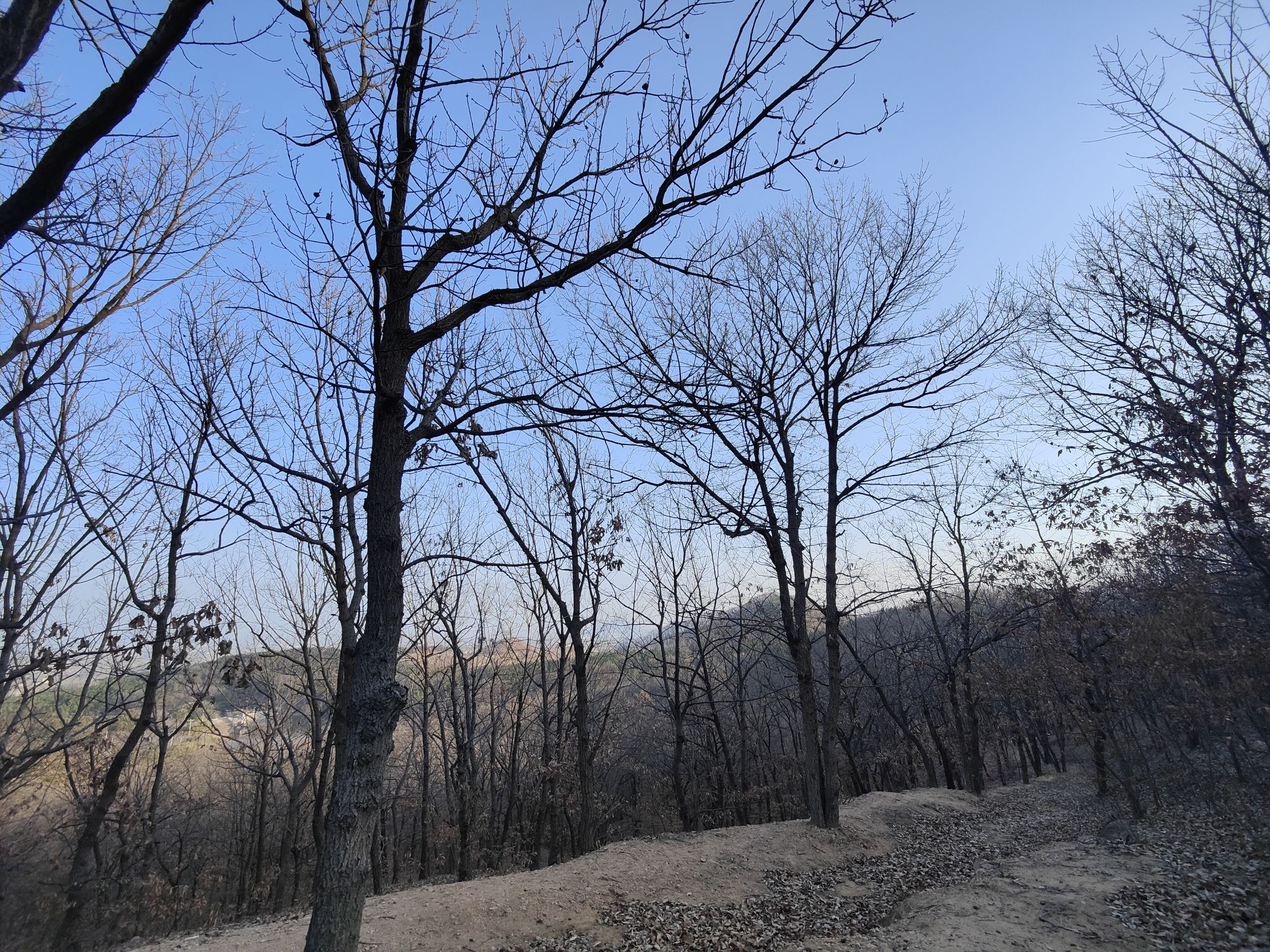 紫山风景区旅行图片 3