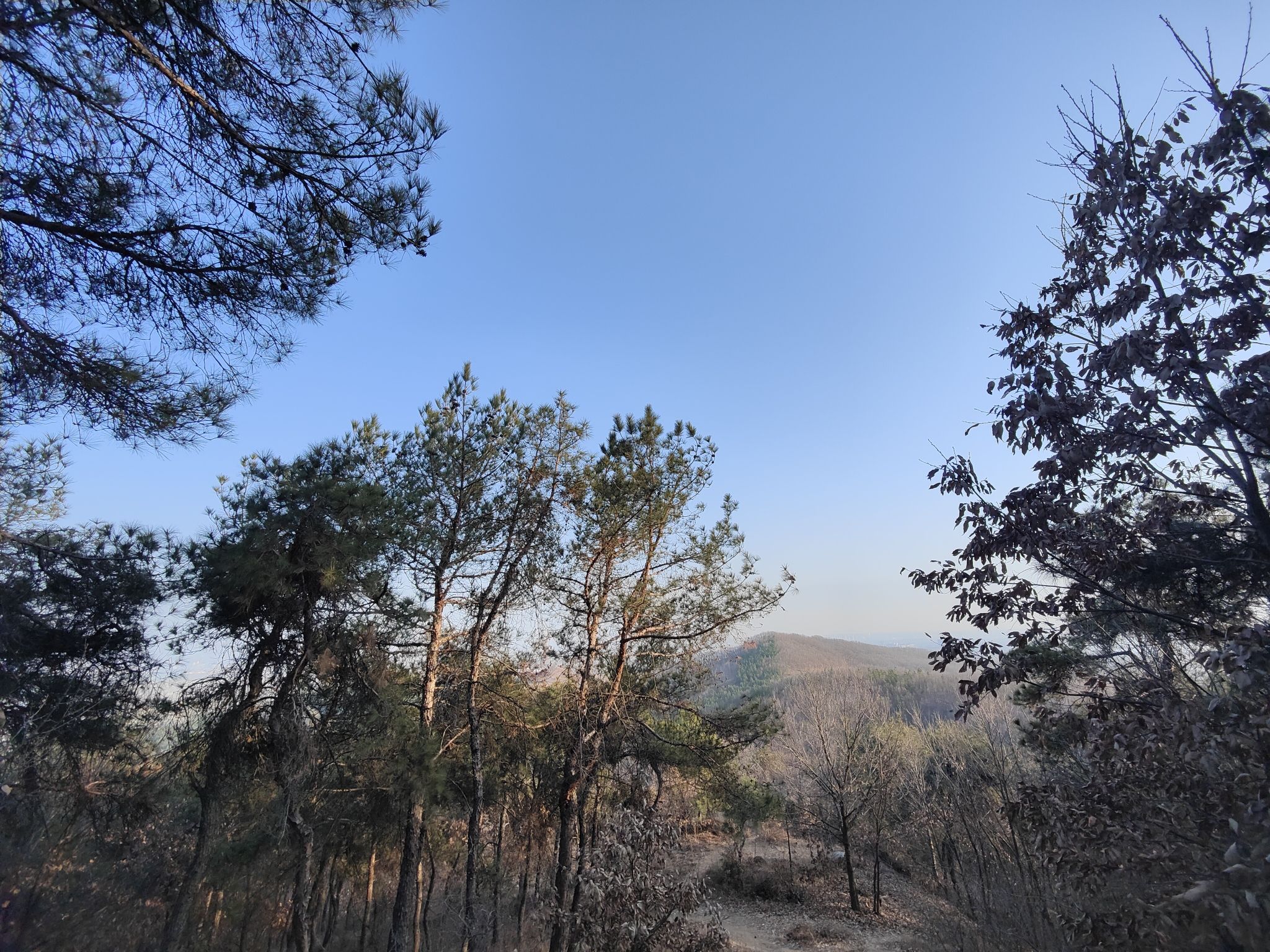 紫山风景区旅行图片 2