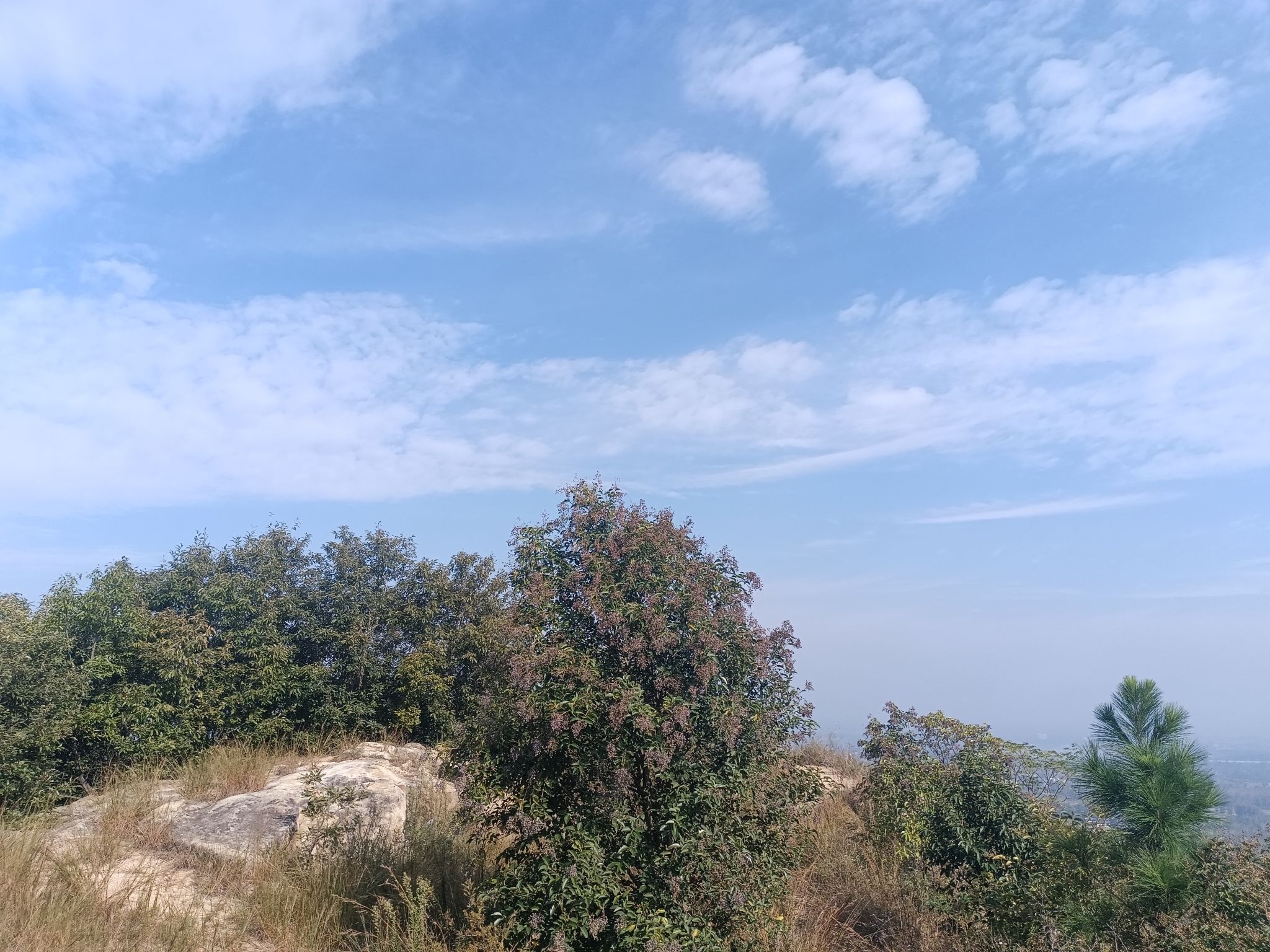 紫山风景区旅行图片 3