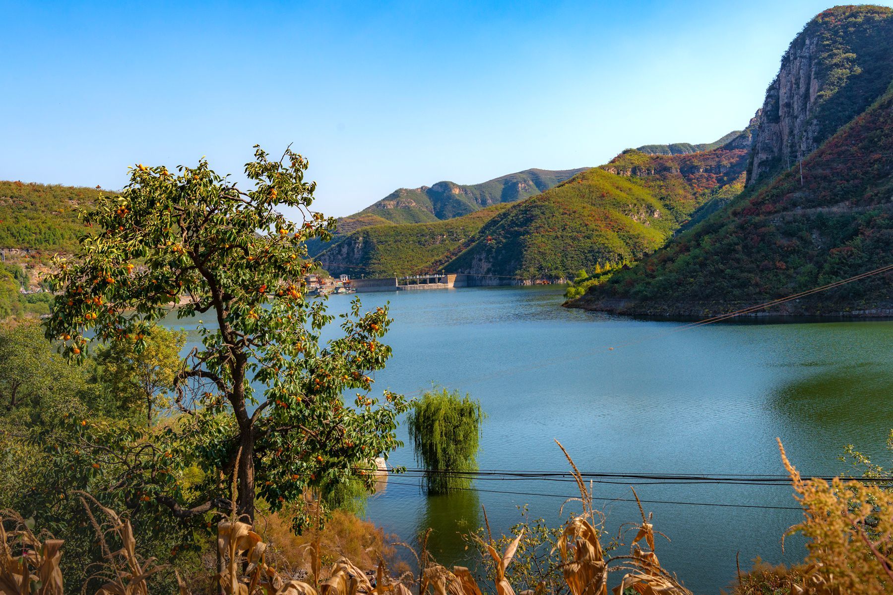 邯郸市涉县青塔湖旅行图片 3