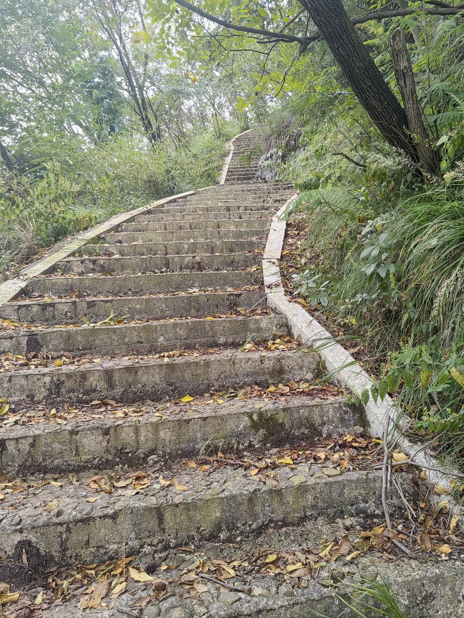 乌石峰旅行图片 1